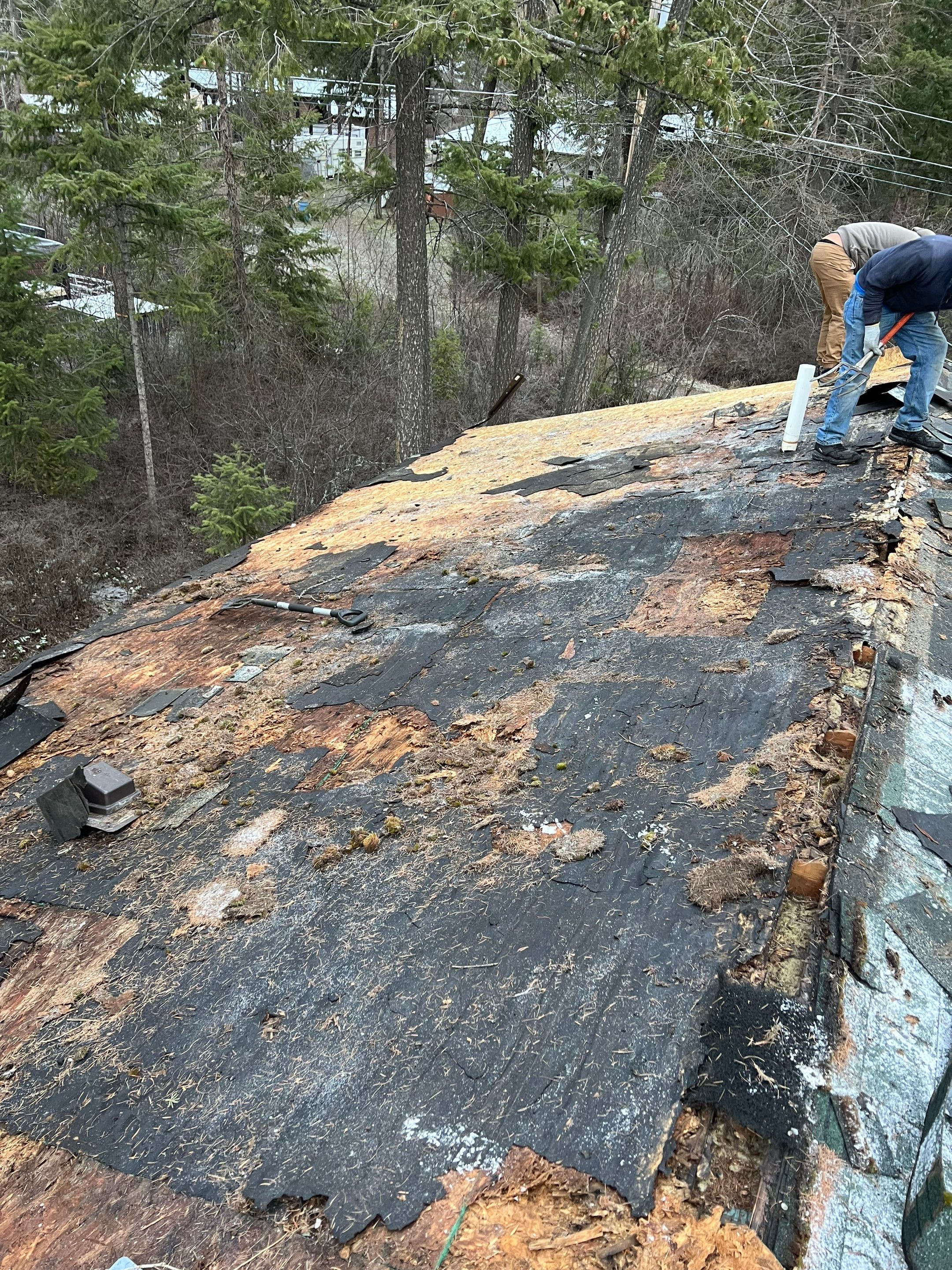 GAF Timberline HDZ - Hunter Green by Montana Roofing Solutions