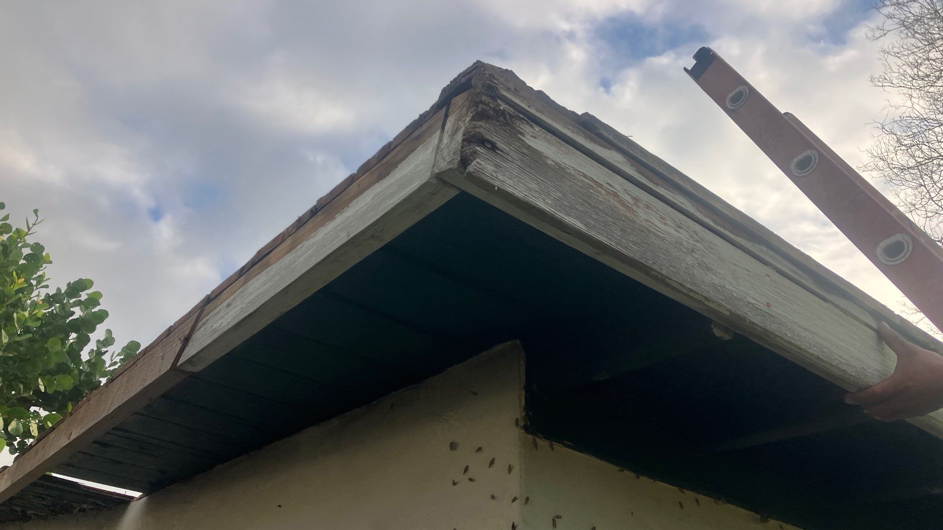 Project in Redington Beach 33708 by Mitchell Roofing Company LLC 