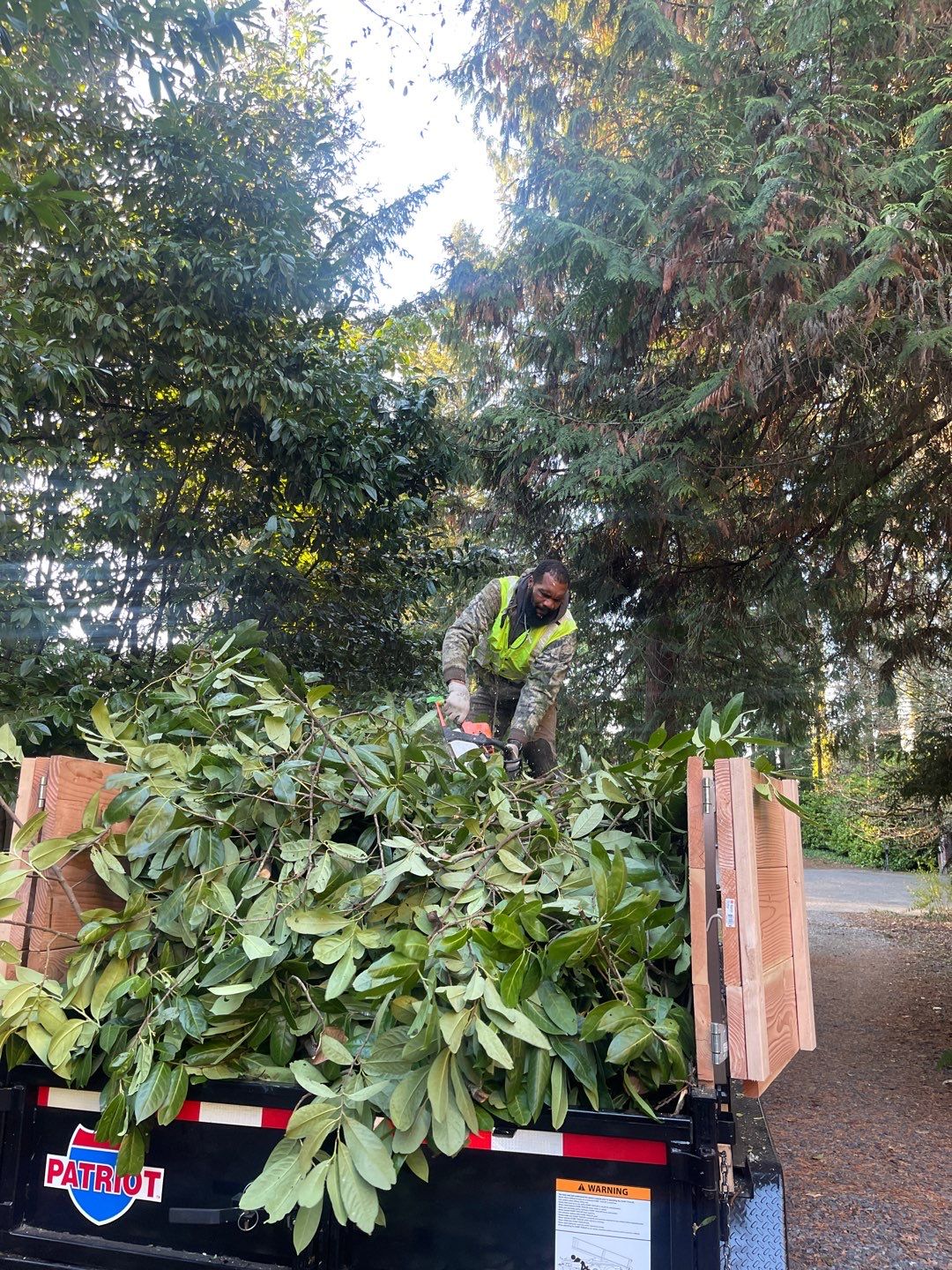 Tree Removal using Tree Removal by Mike Jones & Sons Tree Service LLC 