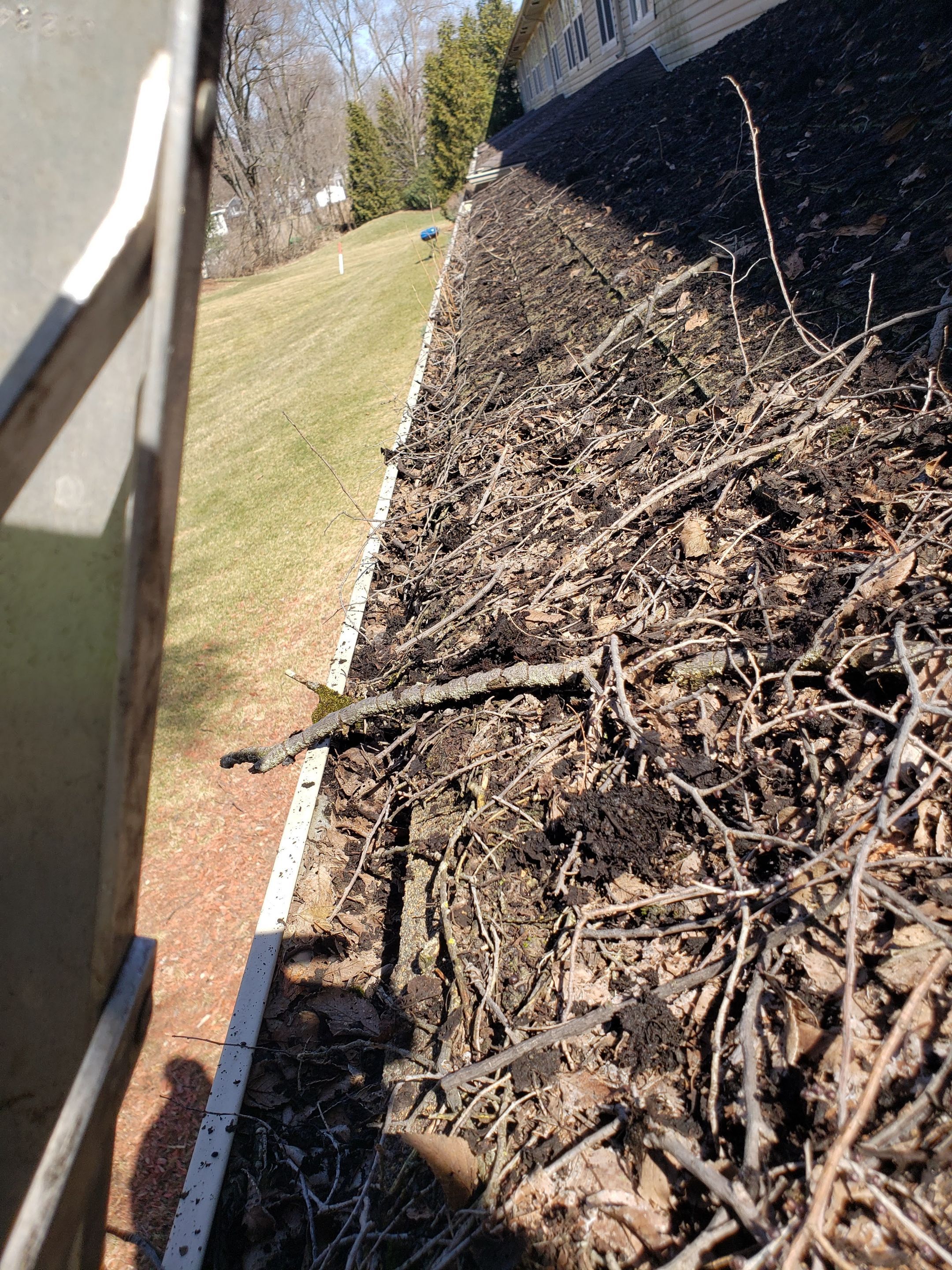 Commercial gutter cleaning South Bend, IN before photo with filled gutters