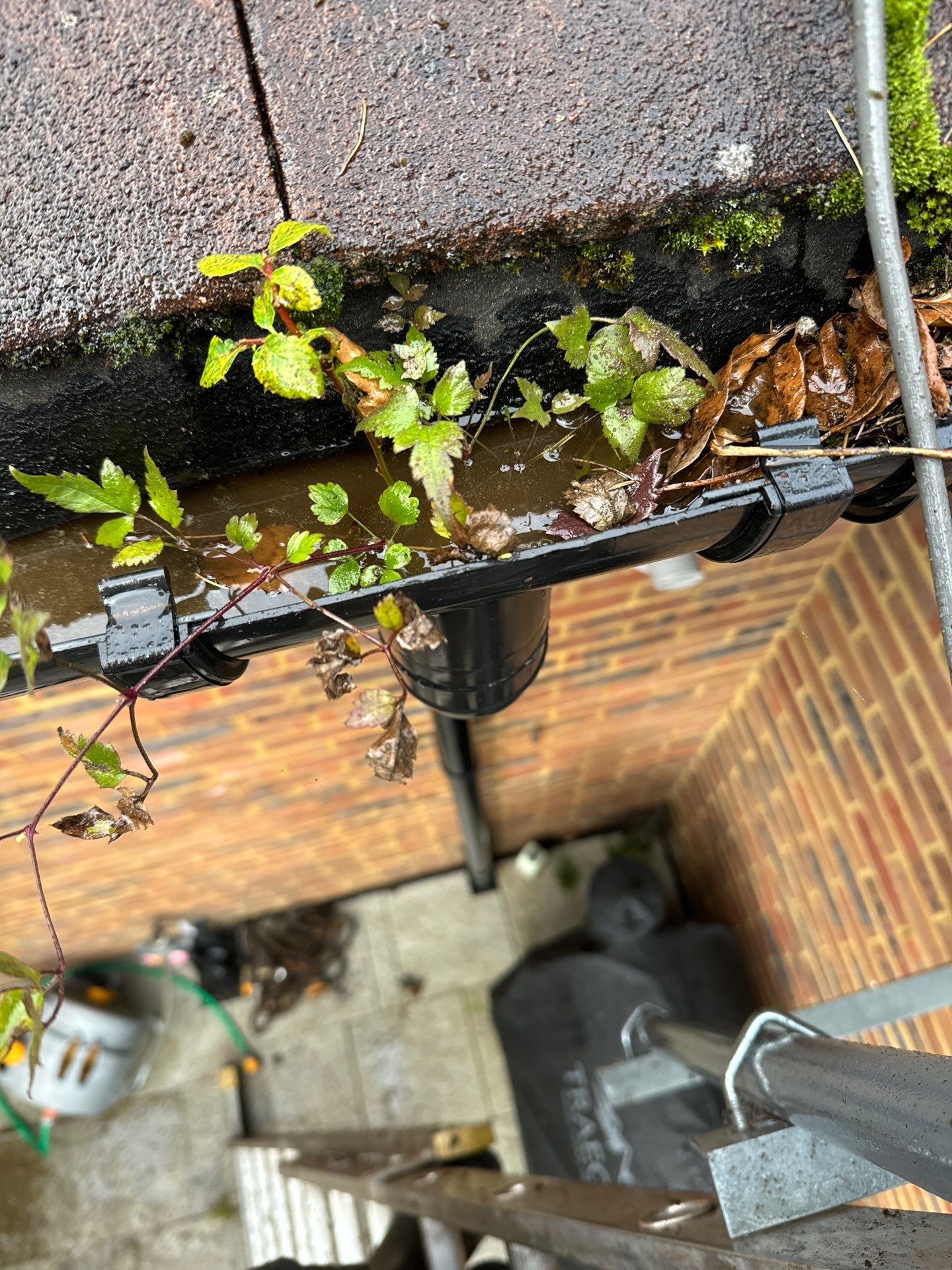 Roof Clean  - Moss Removal - Gutter Clean using Honda 15lpm Low Pressure Washing Machine by Ges Exterior Cleaning ltd