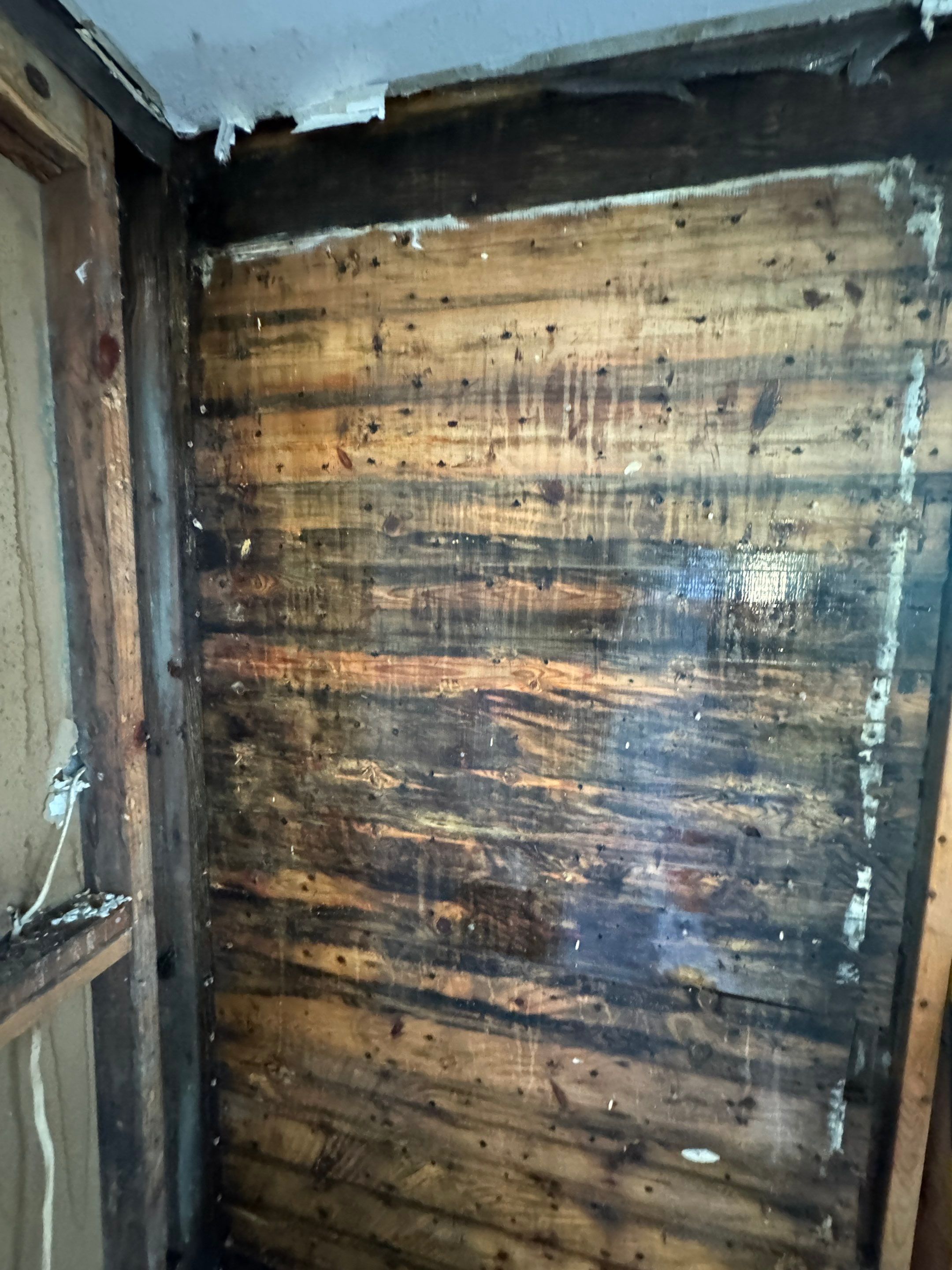 Roof Leak by Chicagoland Water Medics