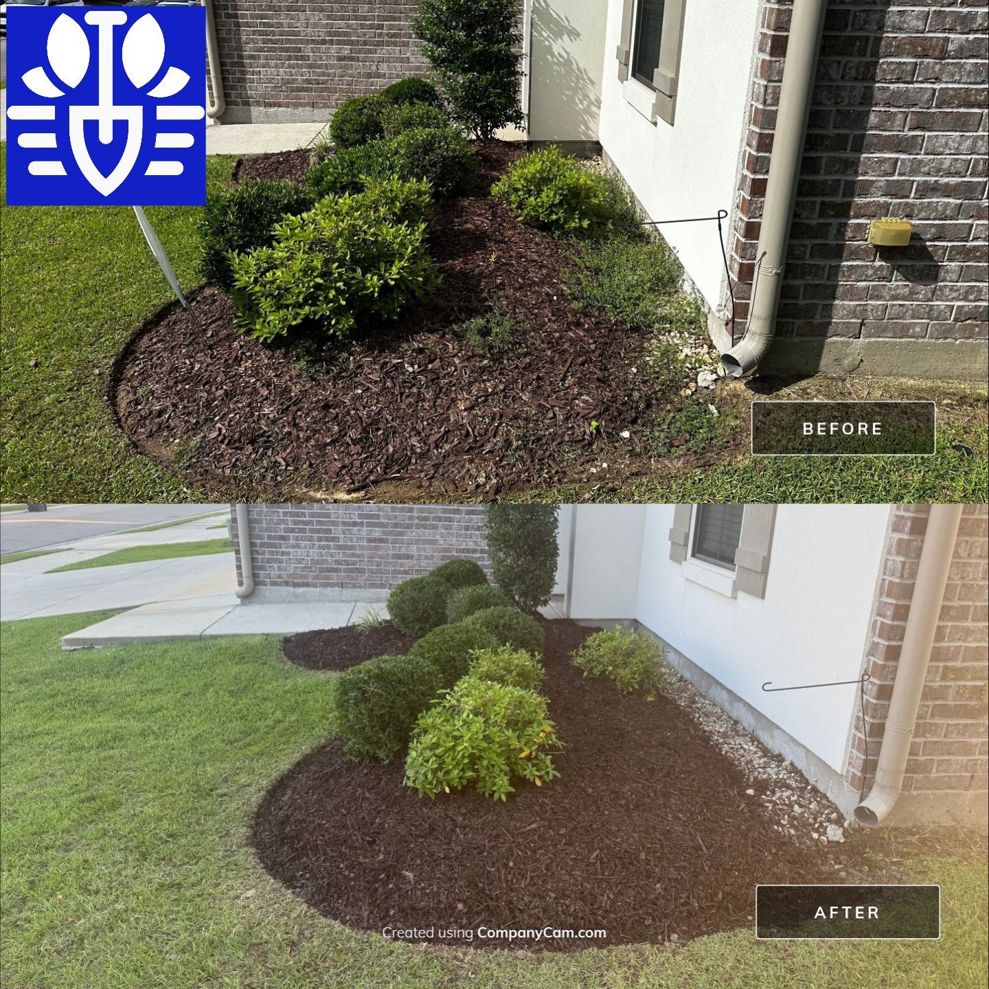LANDSCAPE SERVICES: DEMO / BED PREP / CUT IN BED EDGES / MULCH INSTALL using BROWN MULCH "BARK BRITE" by CutScape, LLC.