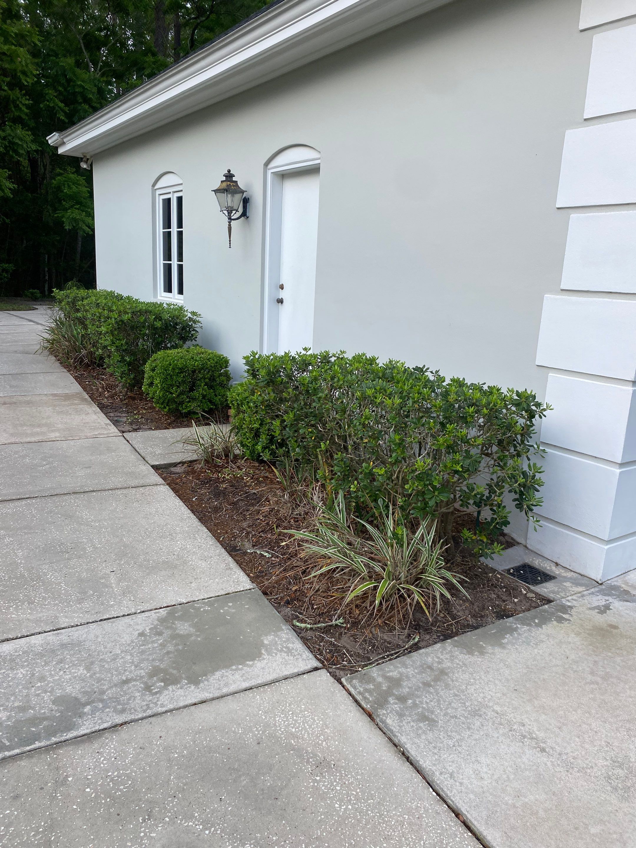 Deerwood Resident | Pine Straw Installation by ProGreen Services