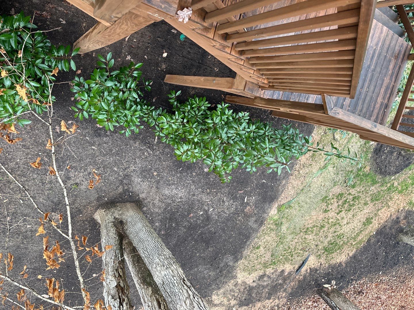 Multi level Deck coated with Wood Sealant by DuraSeal