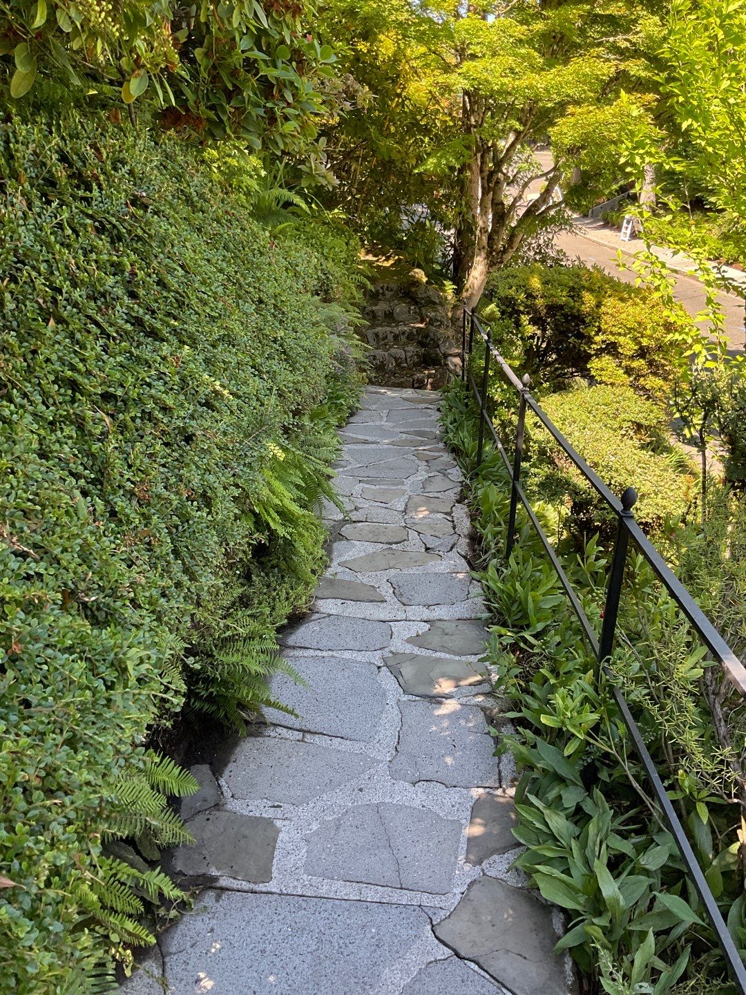 Flat work using Pressure washing no chemicals by Willamette Outdoor Wash LLC