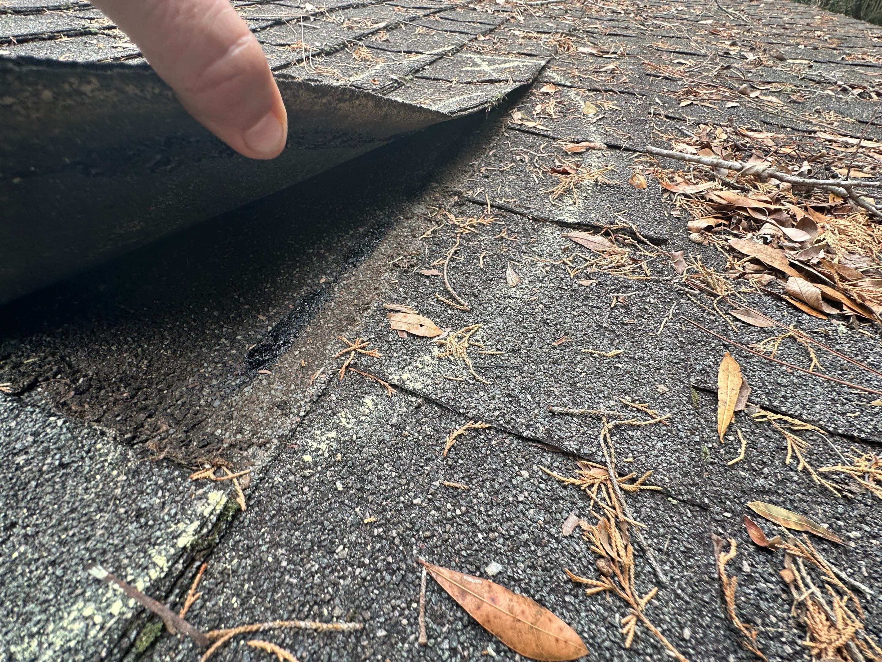 Roof Damage Claim in Pinetta by FLAPA & KeyStone