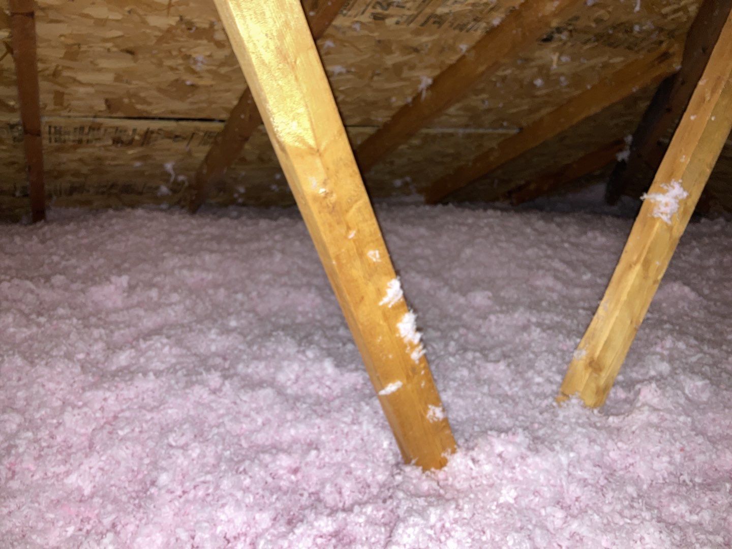 Mold Remediation Cleanup in Attic by Accountable Home Services