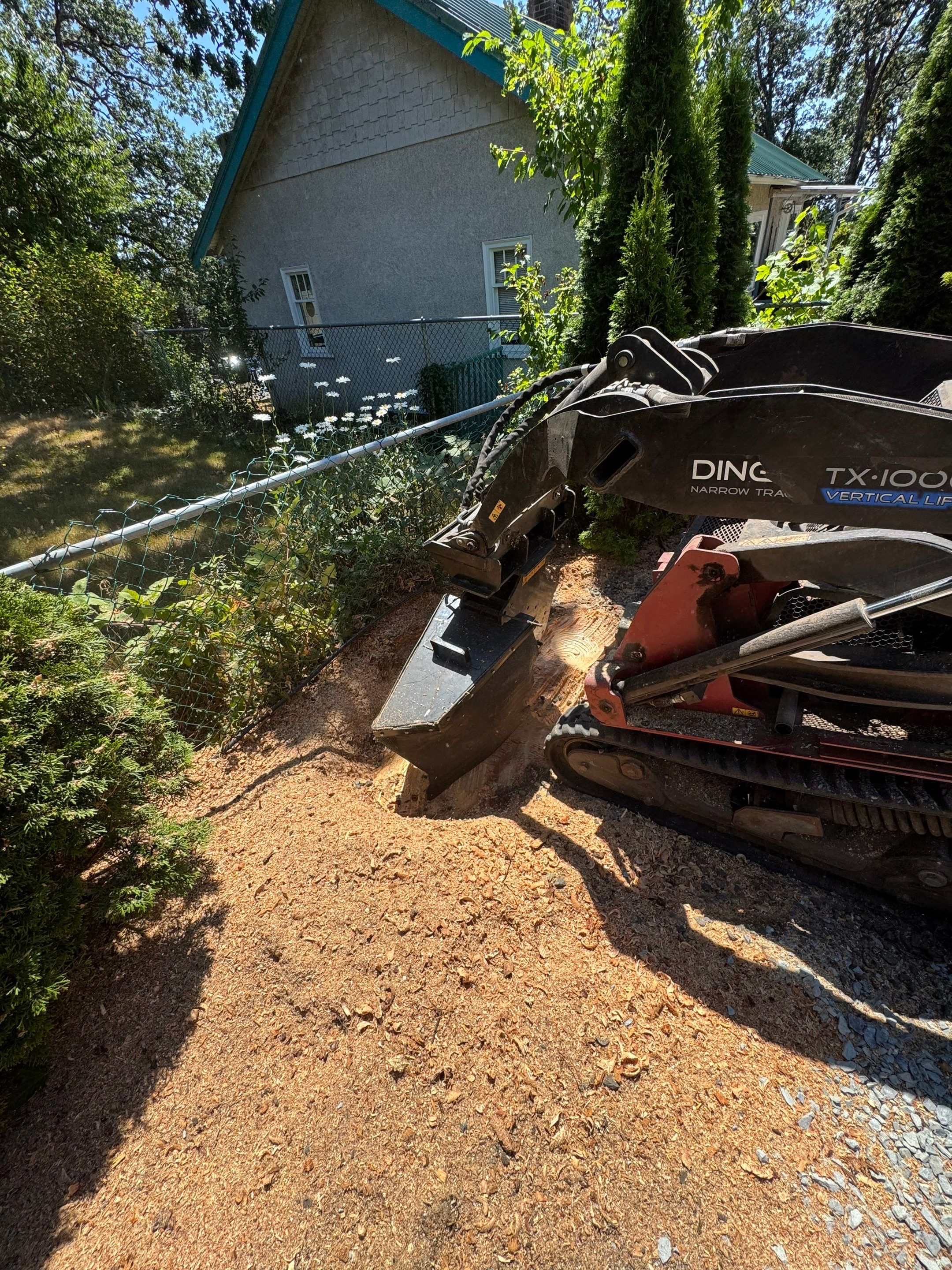 Complete Landscape Transformation - Esquimalt, BC by Habanero Garden and Exterior Care