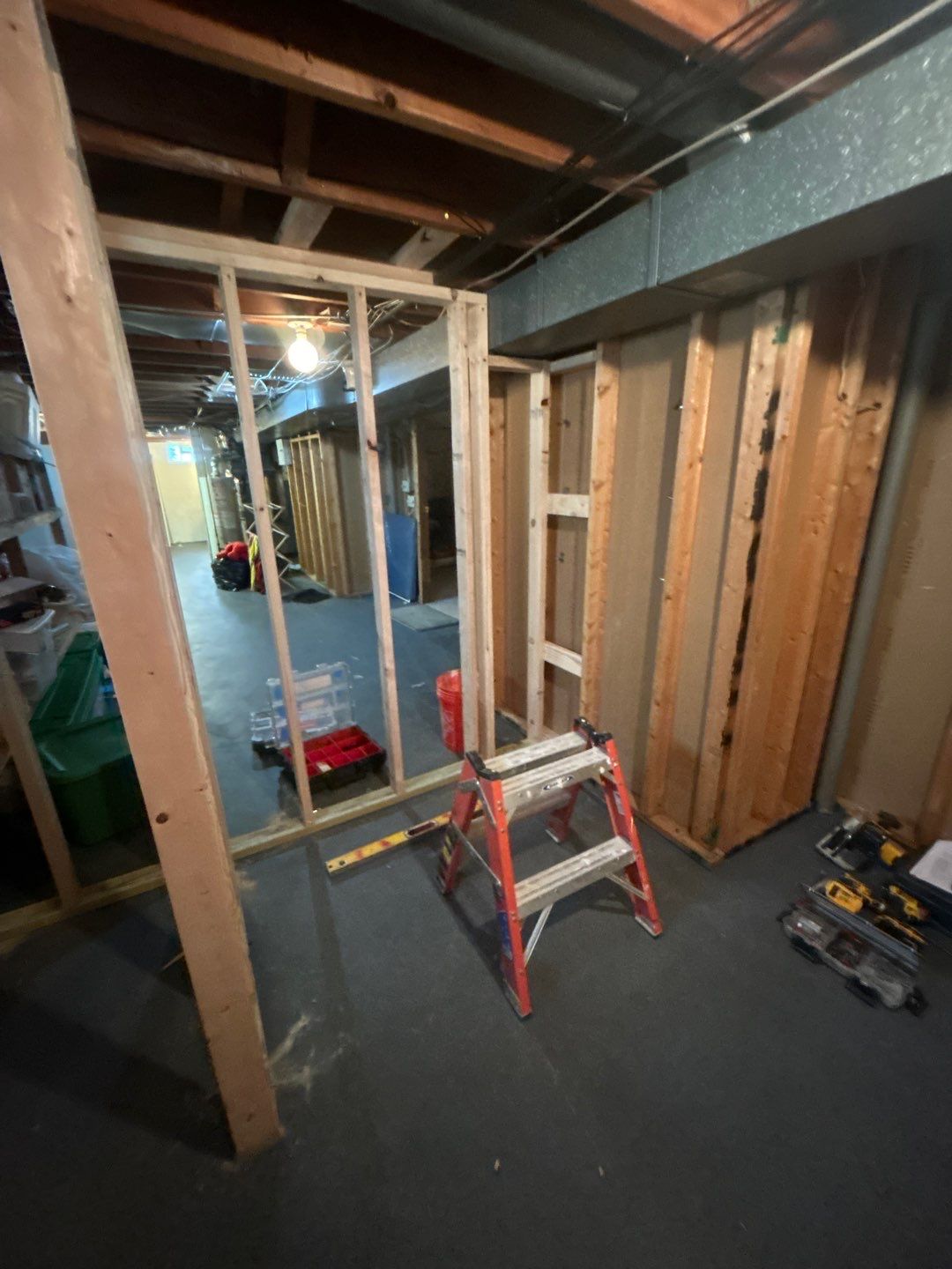 Basement Bathroom Remodel by Ivy Lea Construction