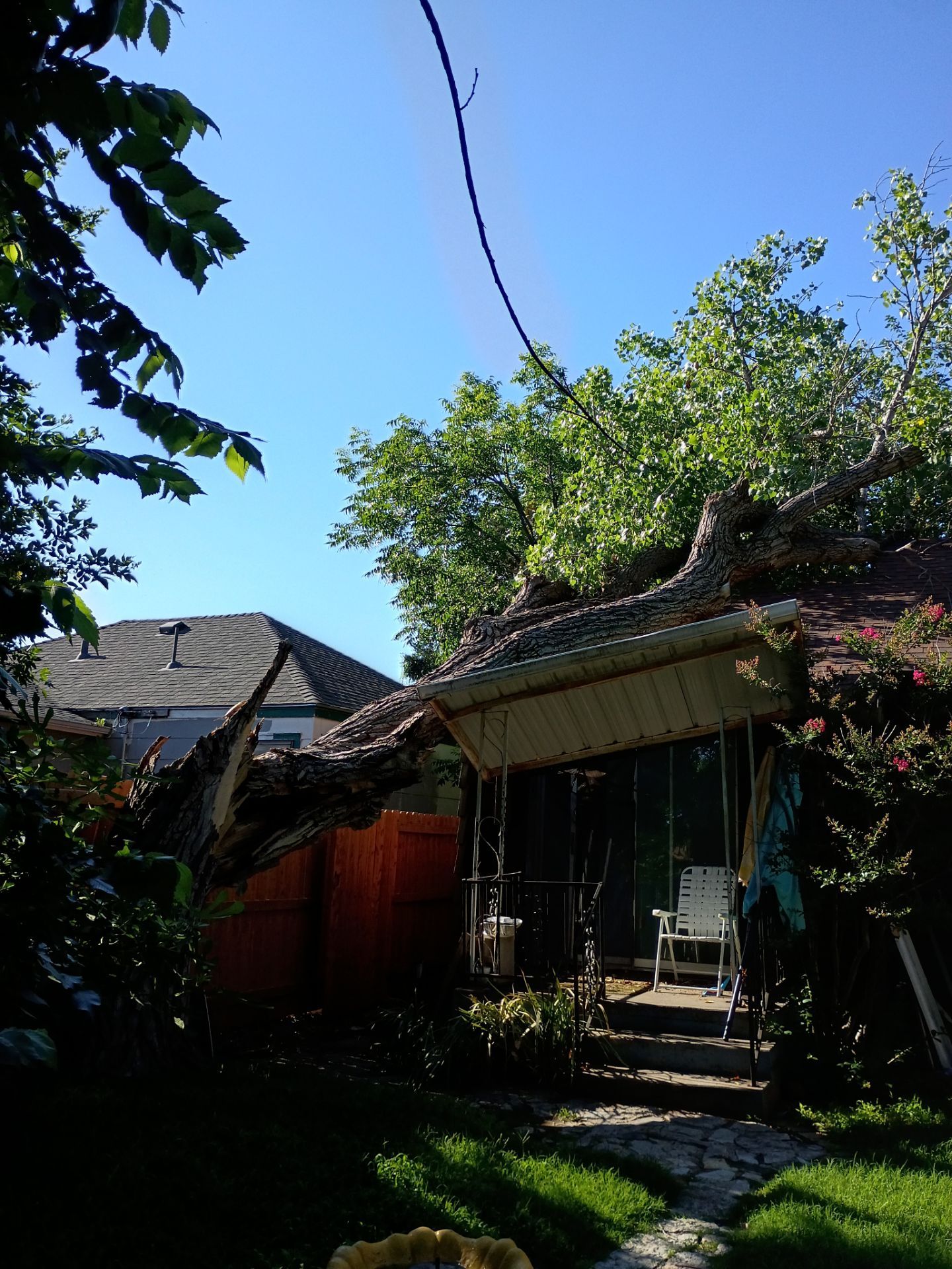 Dangerous Tree Tree Removal  by Clays Services Inc