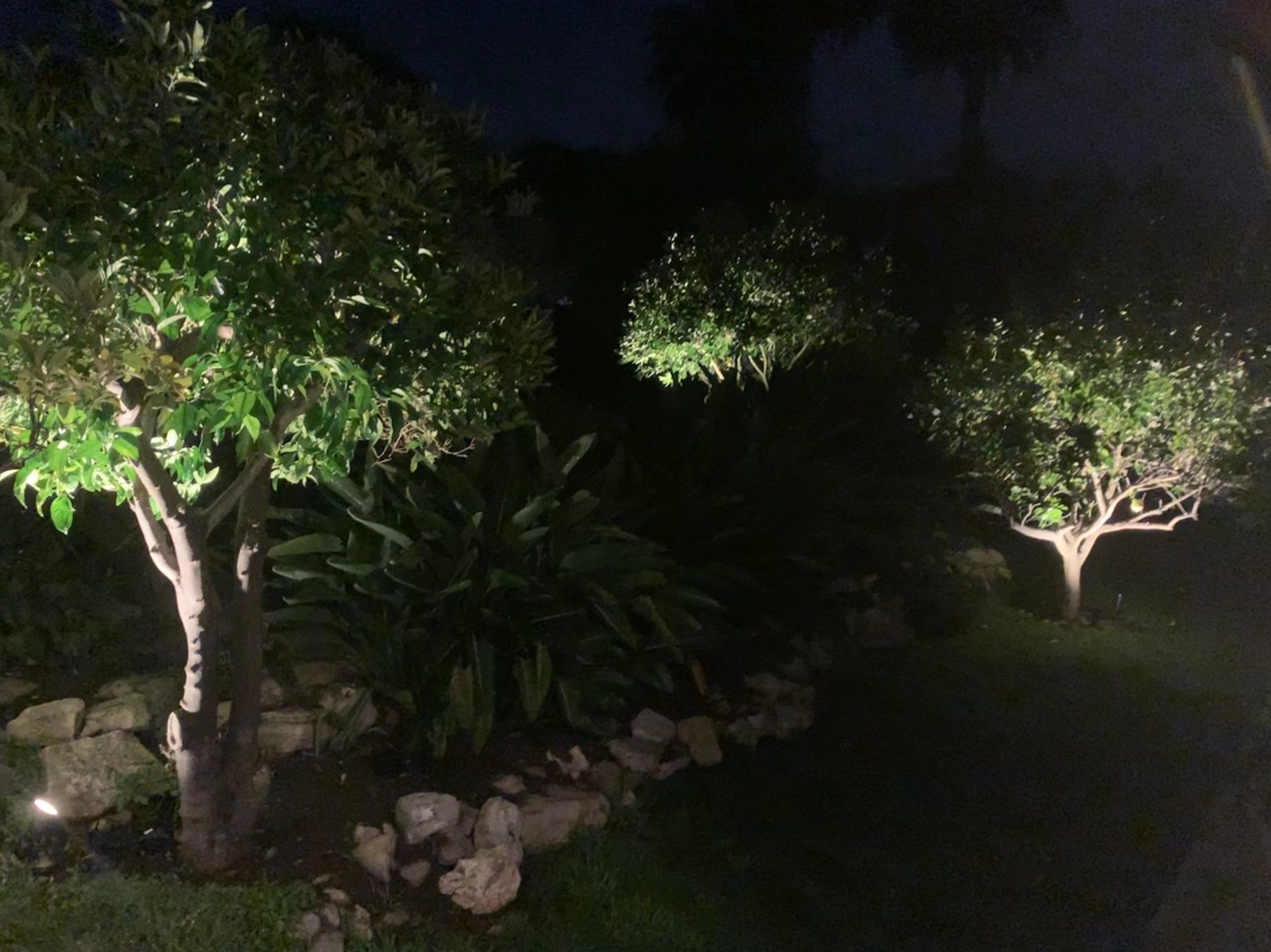 Landscape Lighting and Outdoor Audio in Palos Verdes by Outdoor Lights + Shades