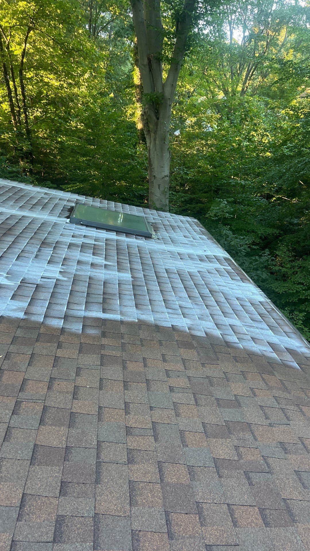 Project in Richmond by Roof Maxx of Midlothian