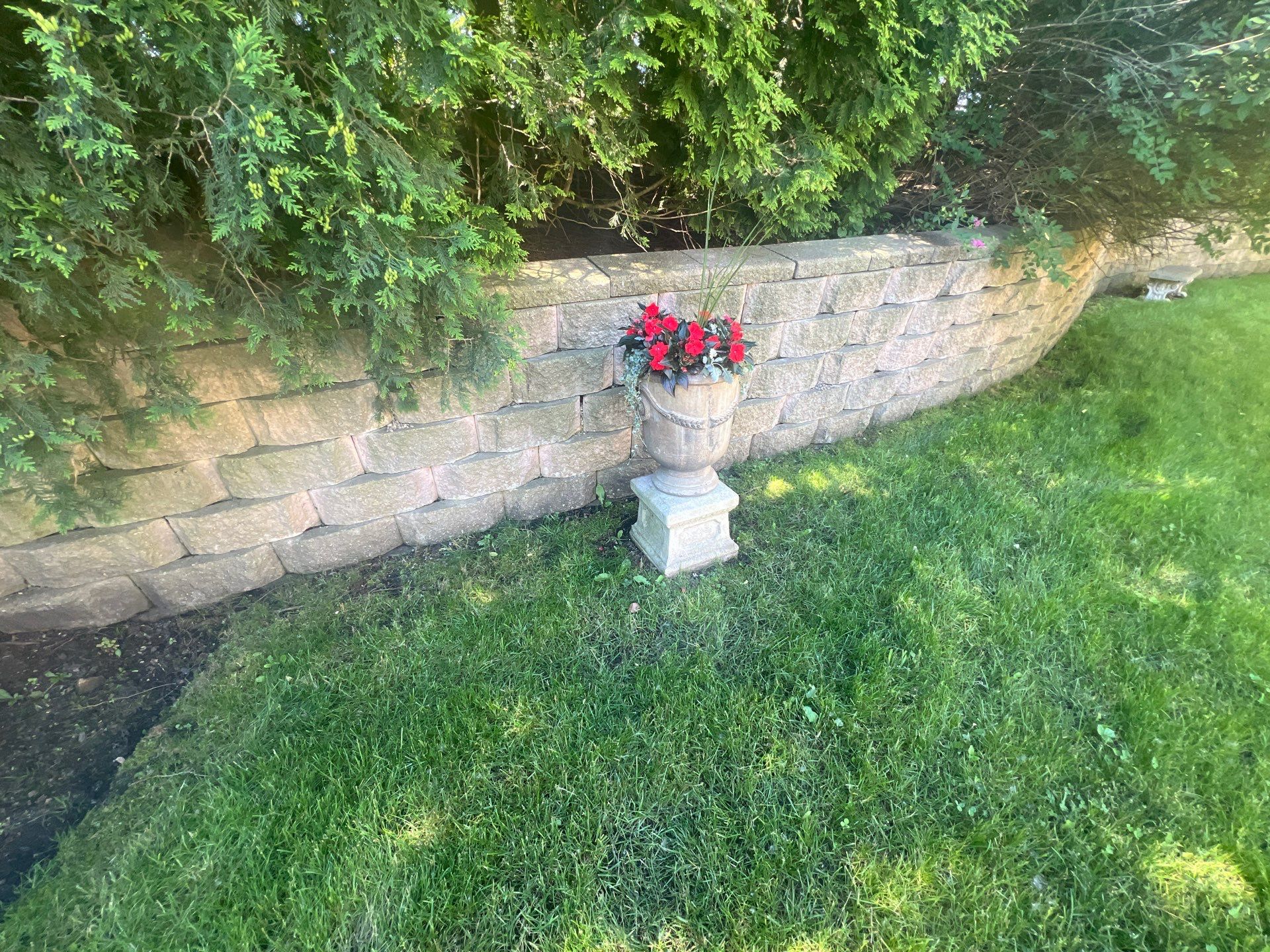 concrete cleaning using Algaecide, soft wash soap by Northern Power Washing LLC.