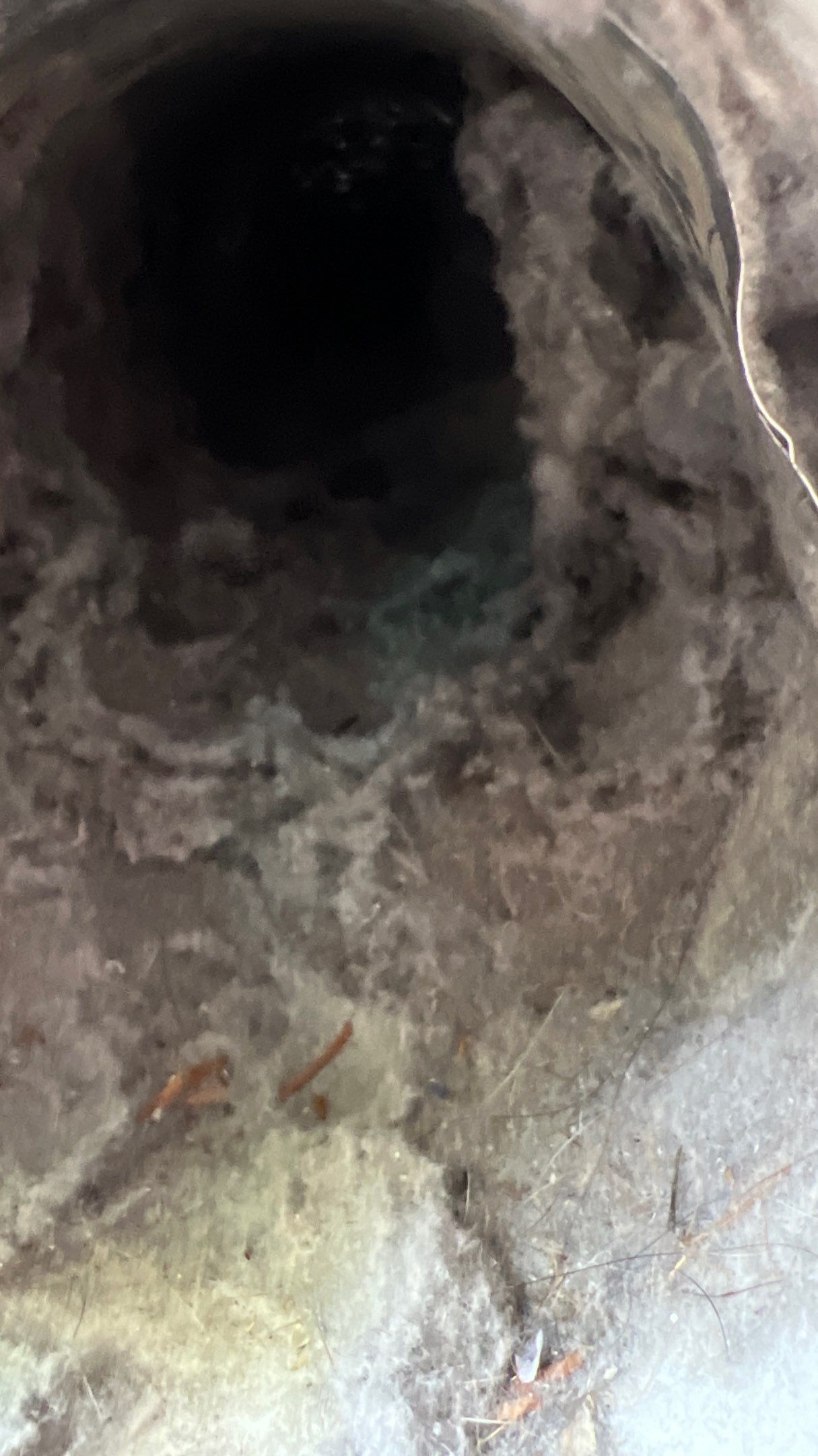 Dryer Vent Cleaning in McKees Rocks, PA by Superior Air Duct Cleaning