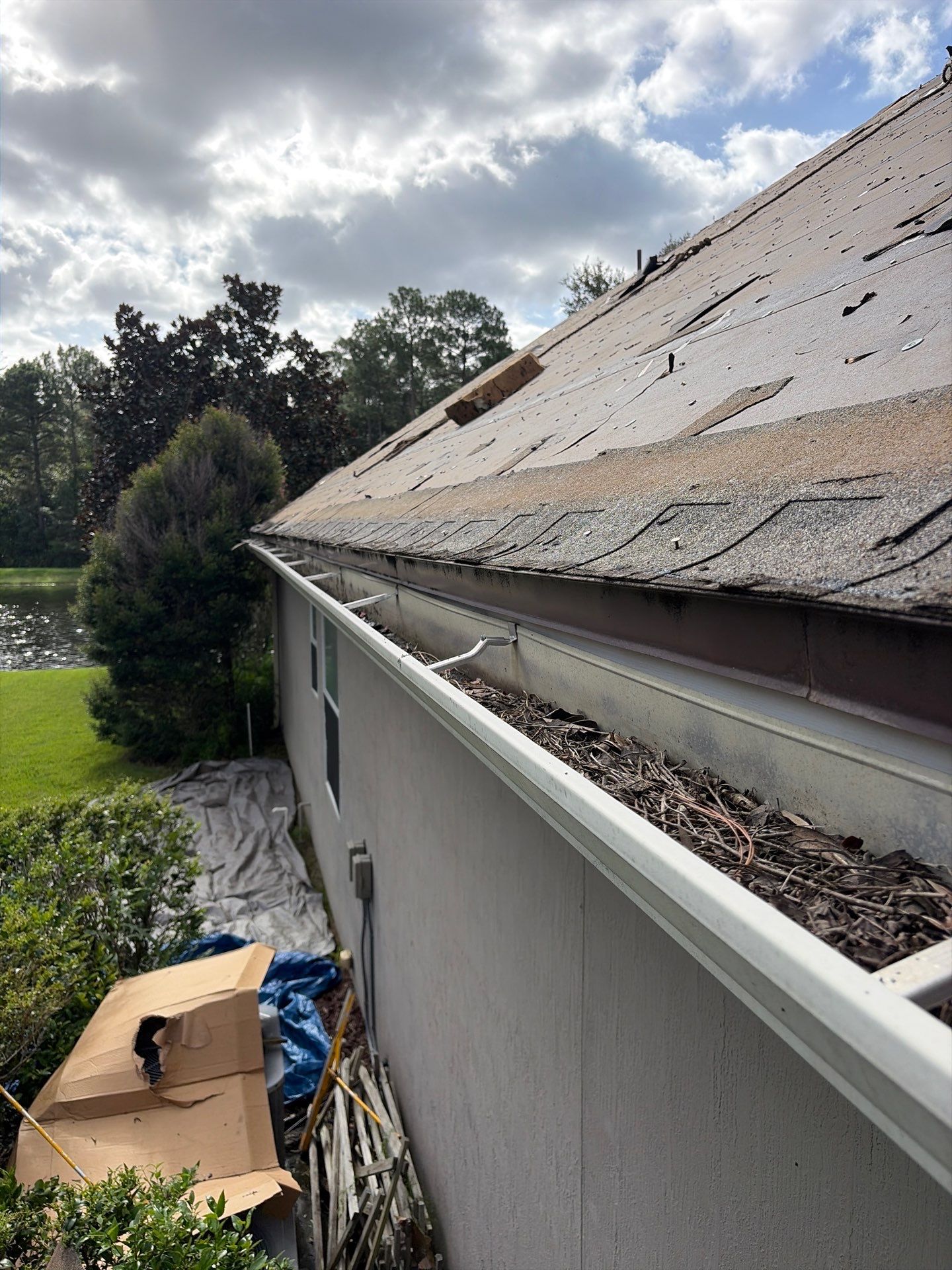 Architectural Shingle Roof Replacement and Skylight Integration in Jacksonville by Miller Roofing Solutions LLC.