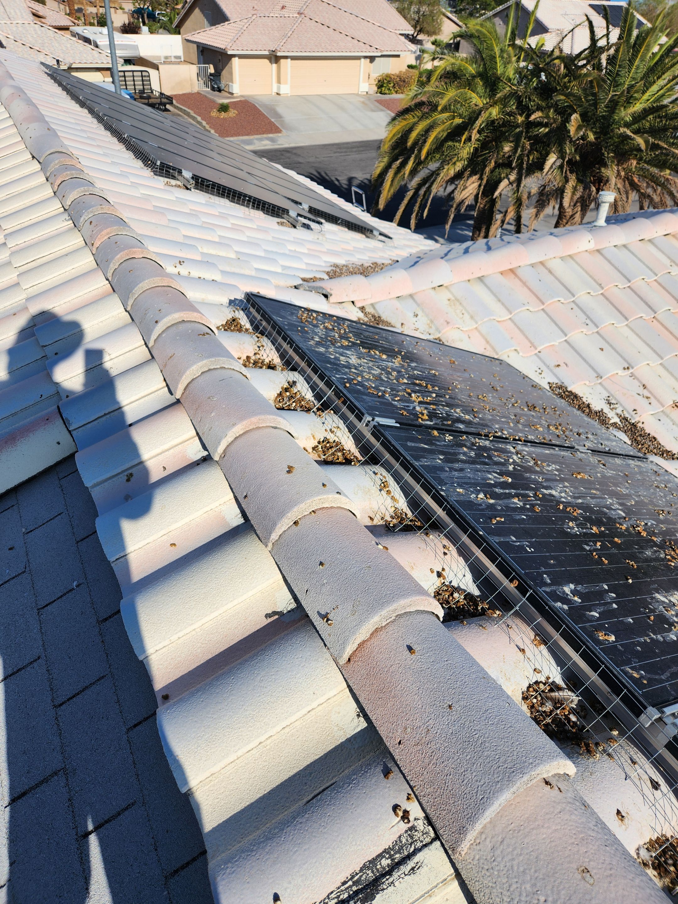 Free Quote- Our Process by Solar Honest Cleaning 