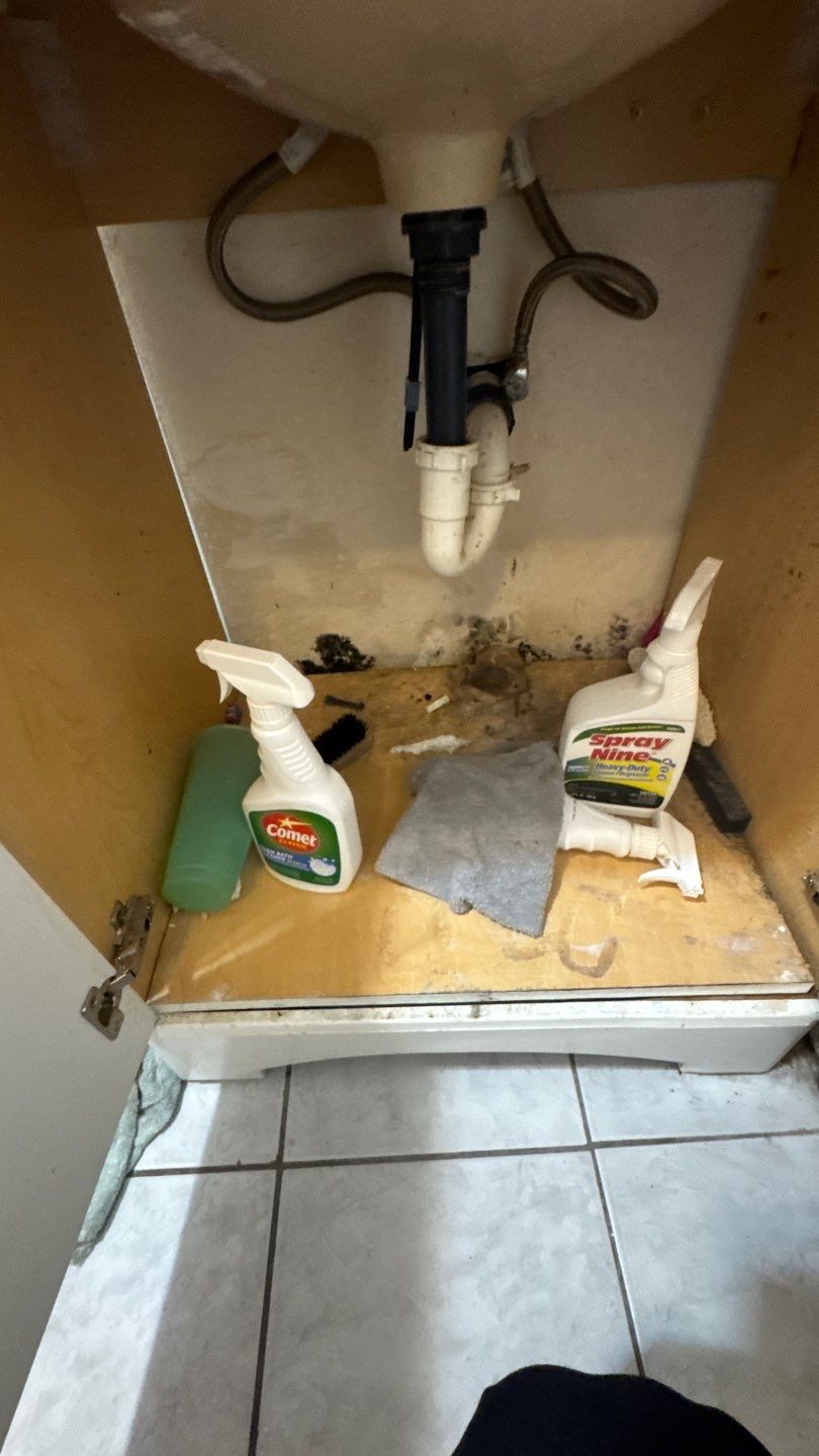 Mold Damage Project in Denver by Accountable Home Services