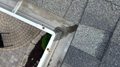 Gutter Protection for Genoa Homes