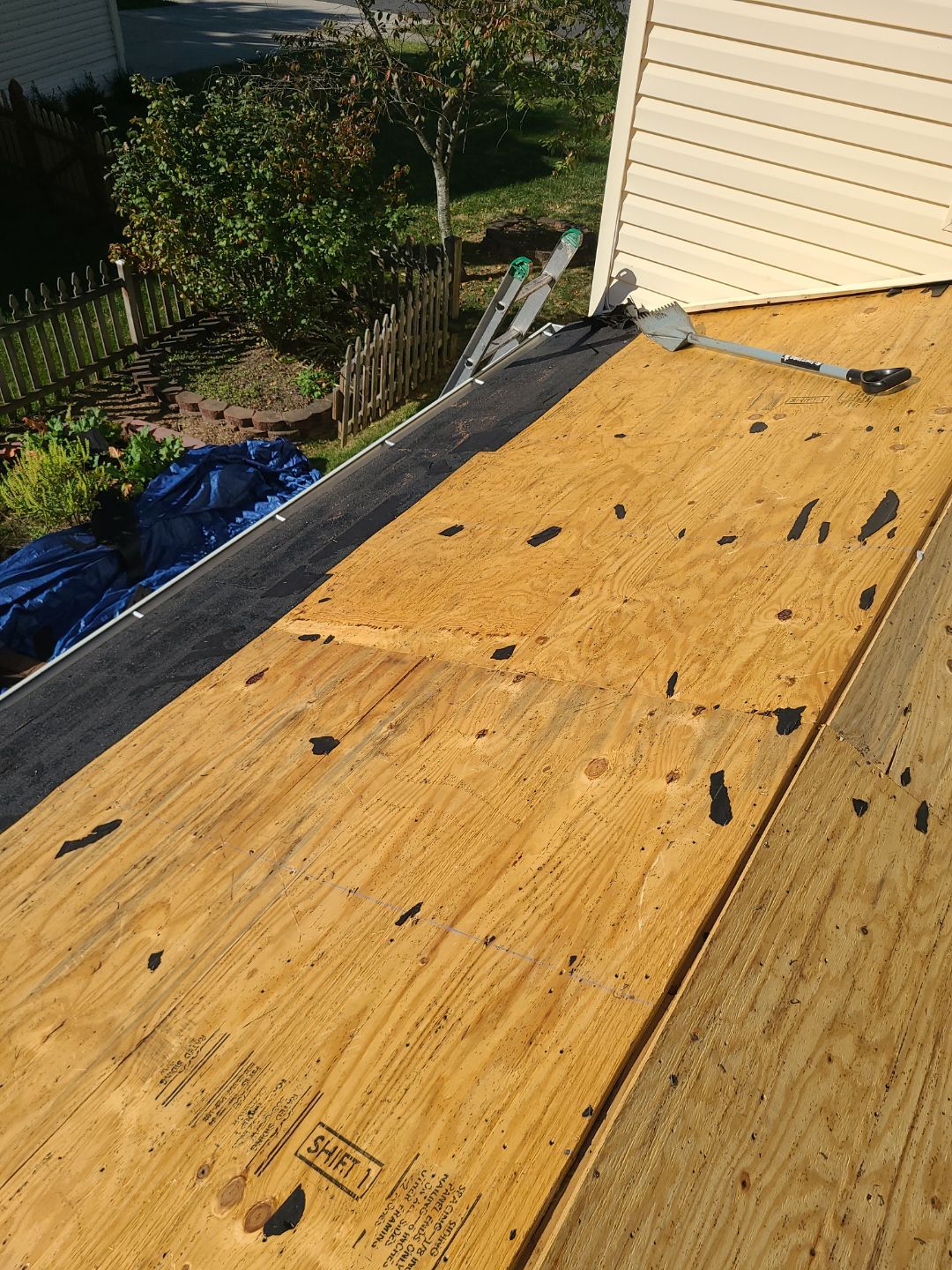 Sterling: Residential Roof Replacement with CertainTeed Landmark Pro Designer Shingles in Max Def Mojave Tan by RM Banning, Inc.