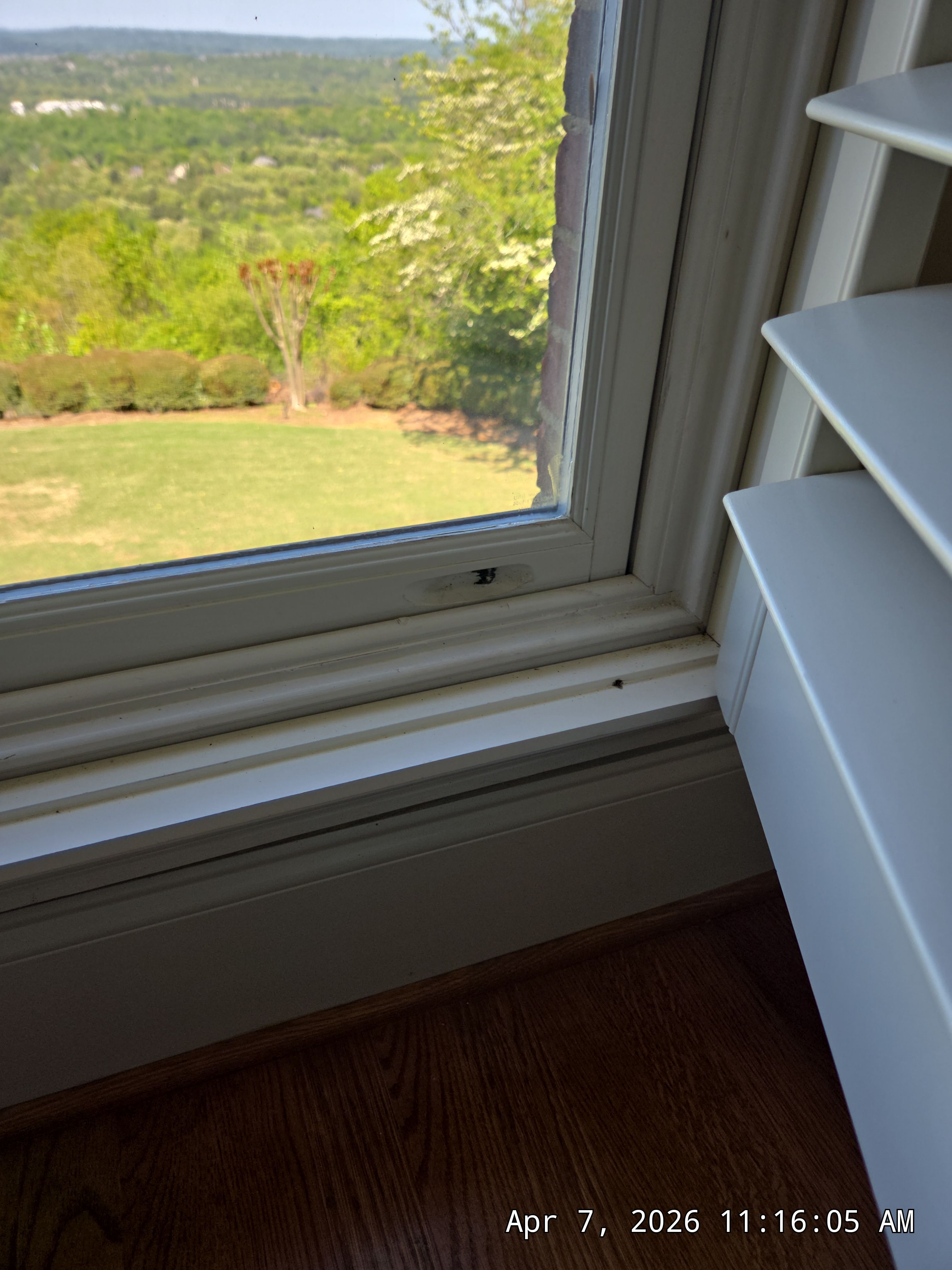 Dwivedi Project in Birmingham by The Window Source