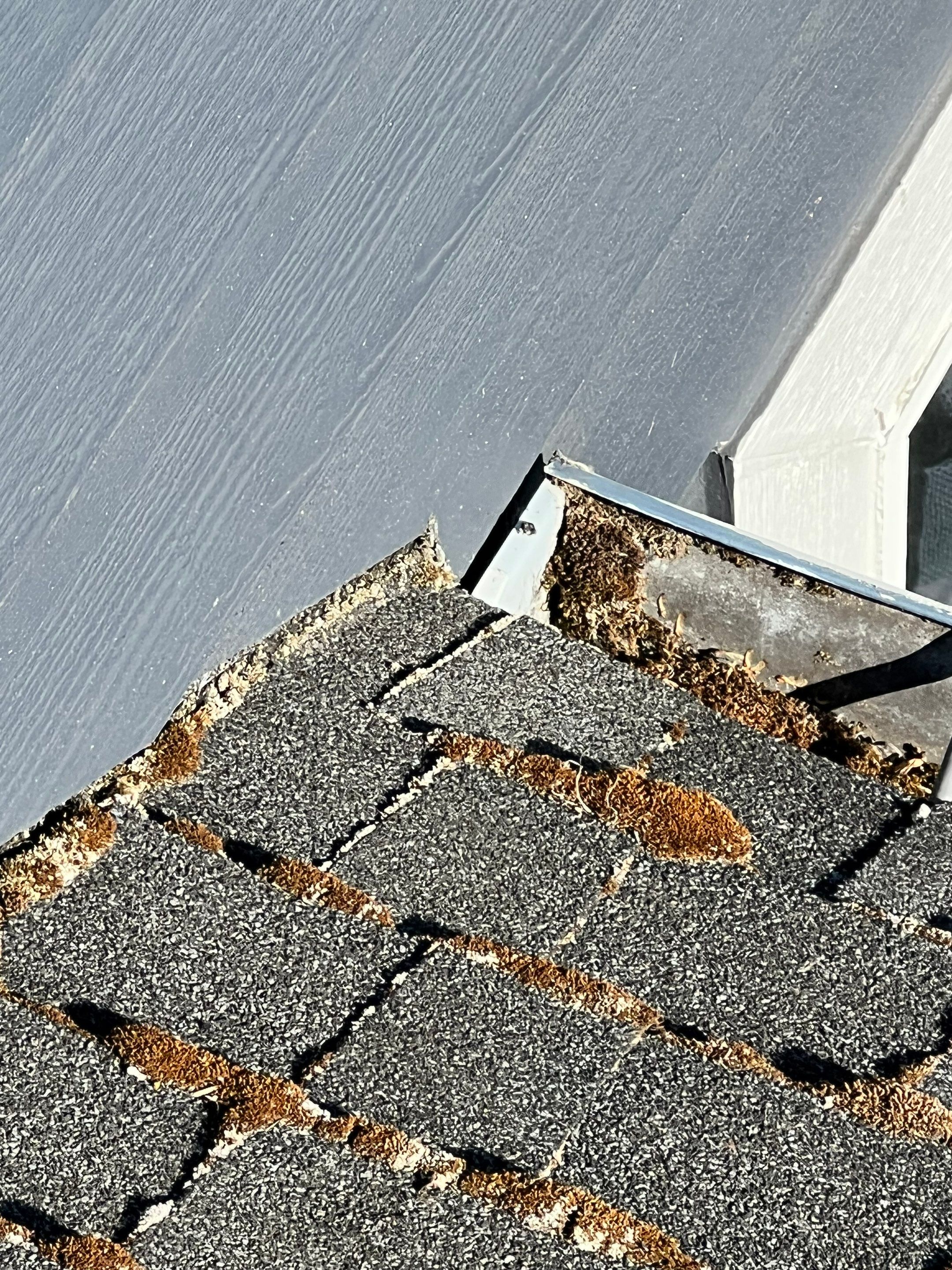 Residential Re-Roof in Albany Oregon by Orezona Building & Roofing Company, Inc.