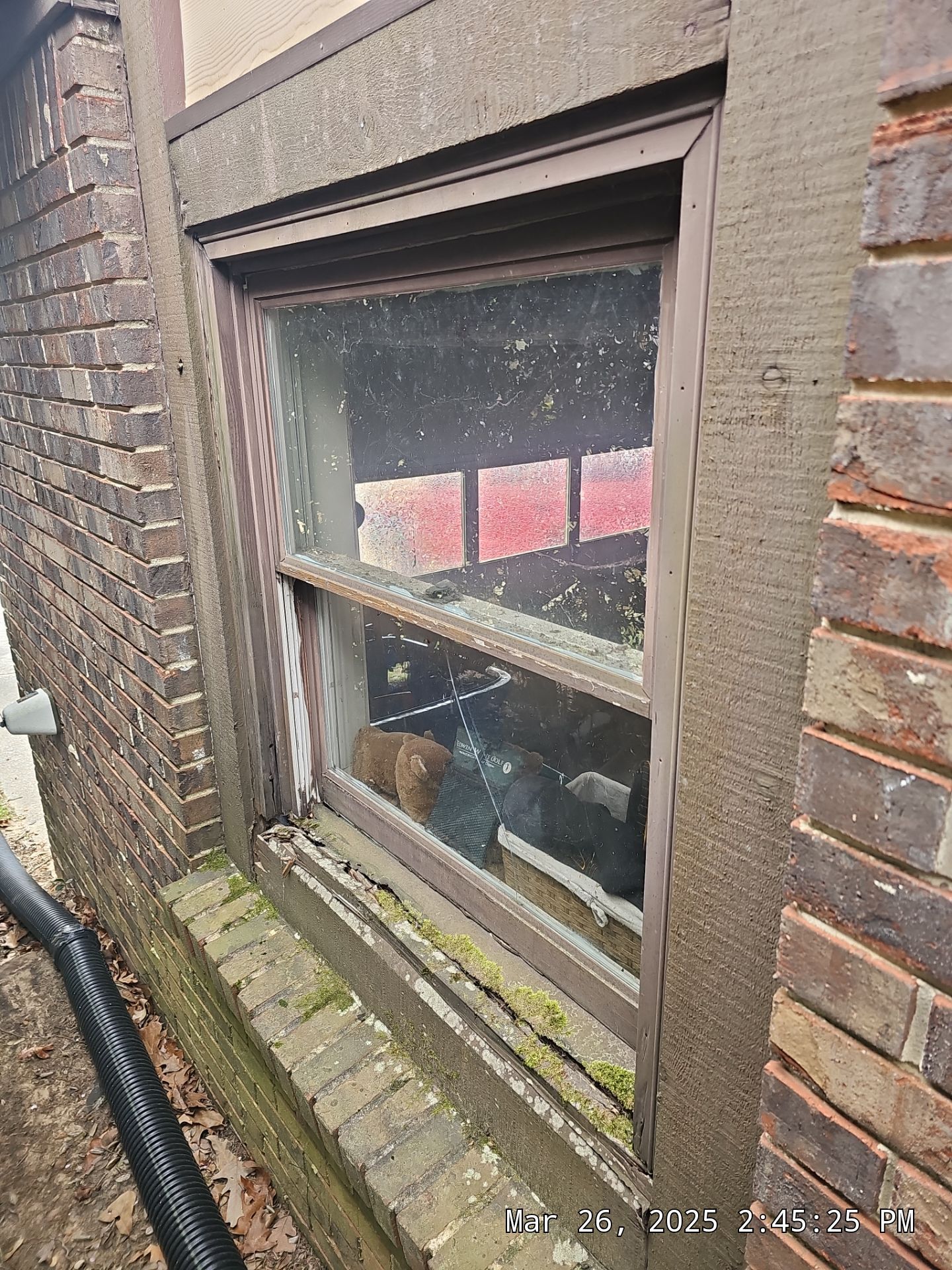 Benson Project in Hoover by The Window Source