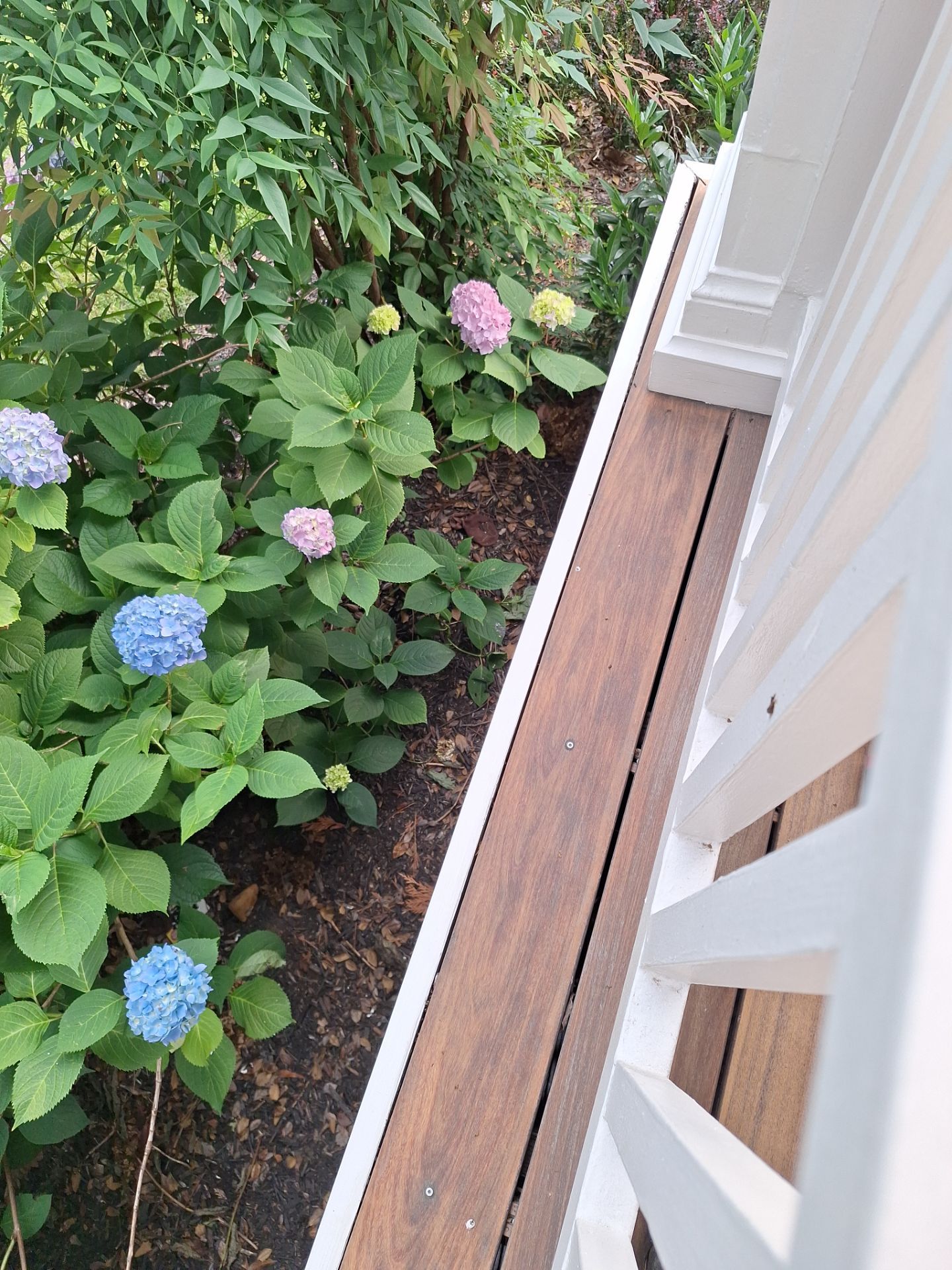 Exterior House Painting in Arlington, VA by My Painter 