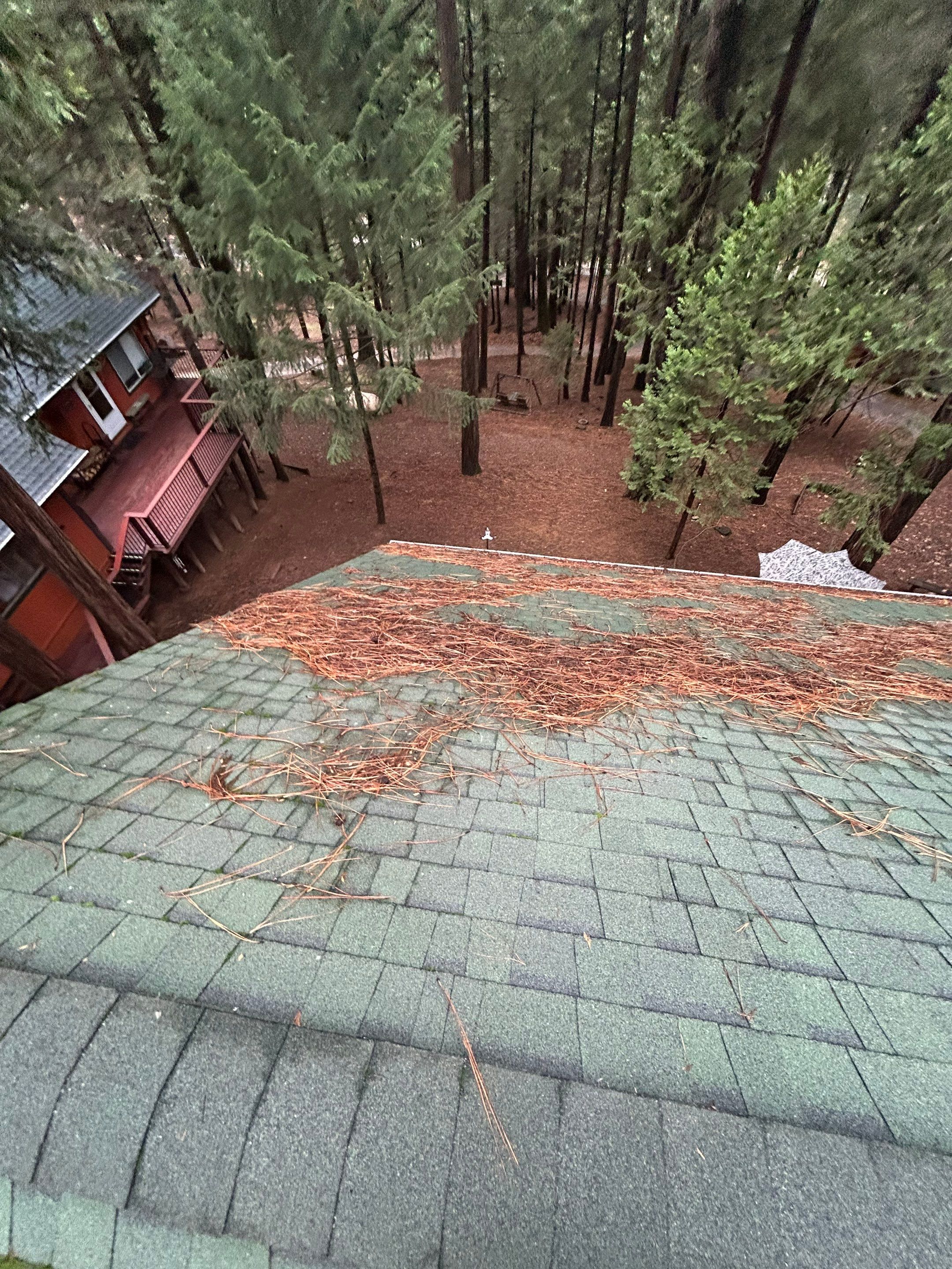 Roof Rejuvenation using Roof Maxx Treatment by Roof Maxx of Folsom