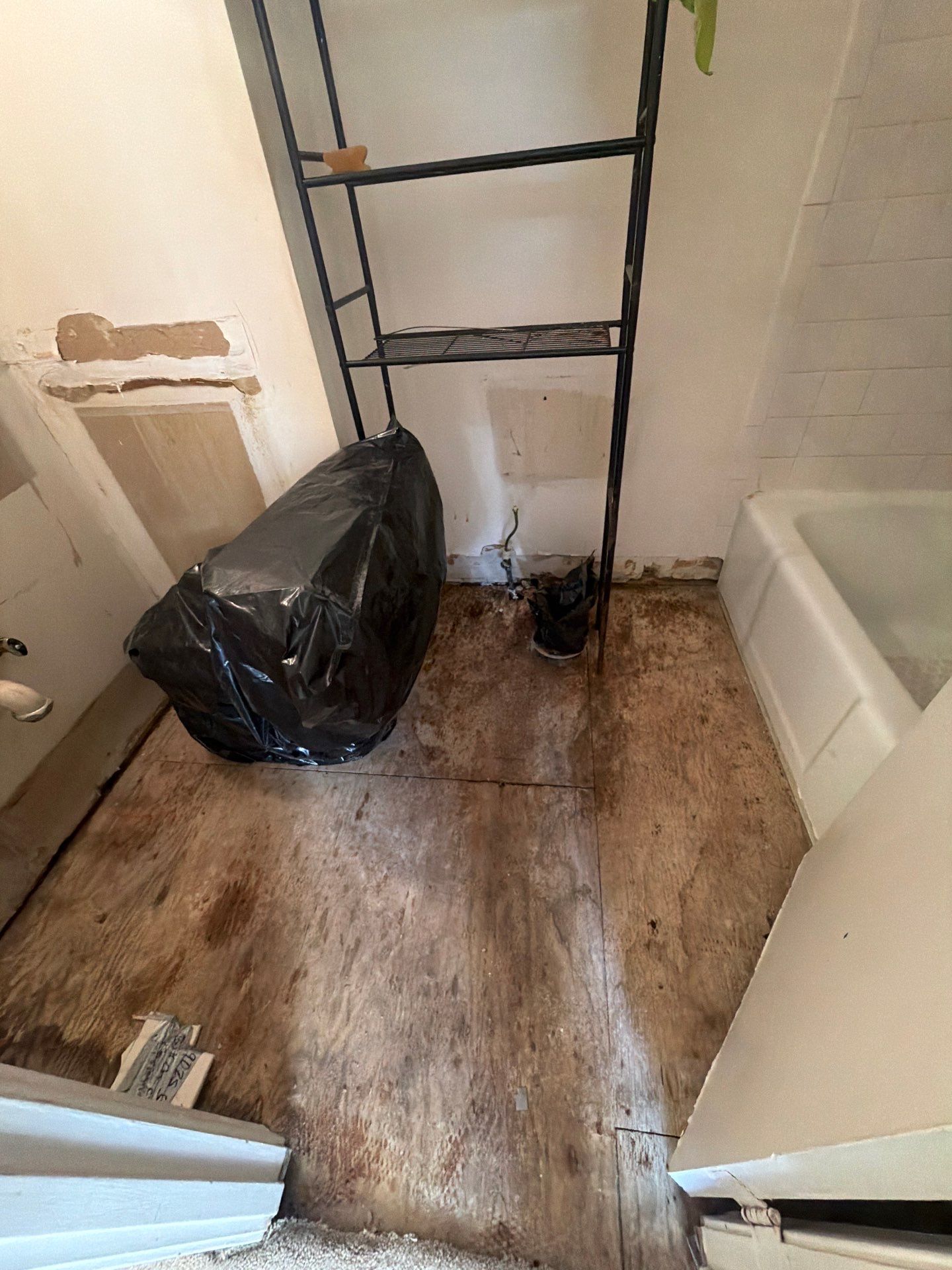 Project in Springfield by Restoration Doctor