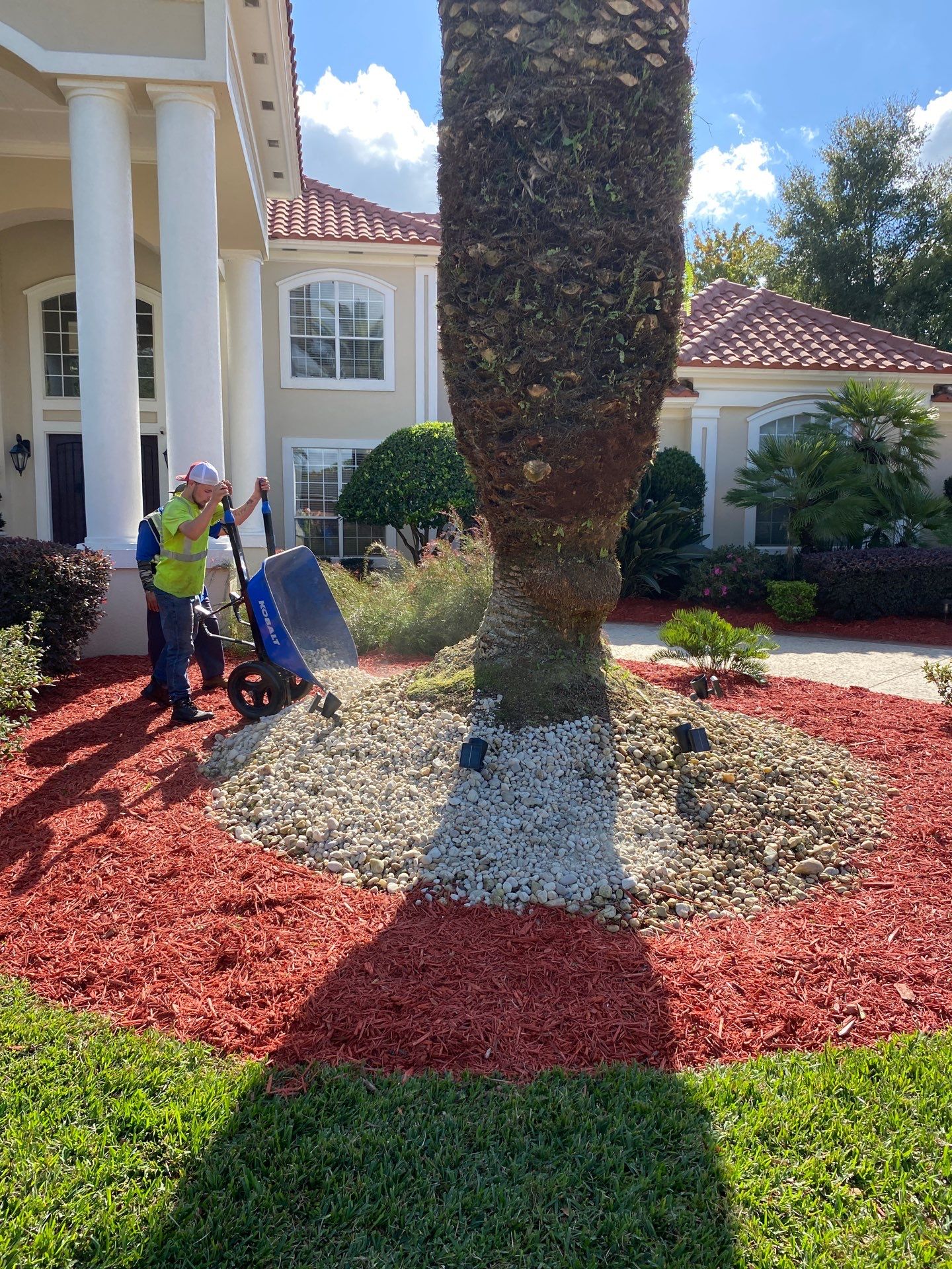 Deerwood Resident | Palm Trimming & Ground Cover by ProGreen Services