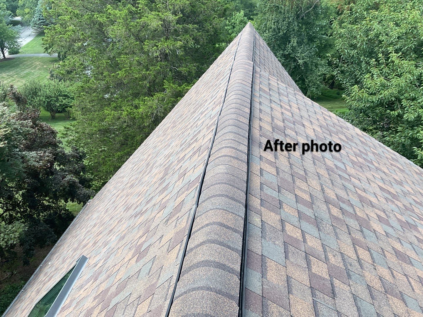 New Shingle Roof, New Skylights, New Windows, Repair T-1 11 panels by Alpha Design Services