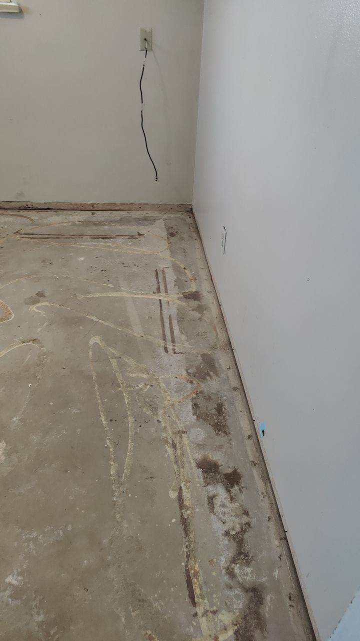 Mold Remediation by Accountable Home Services