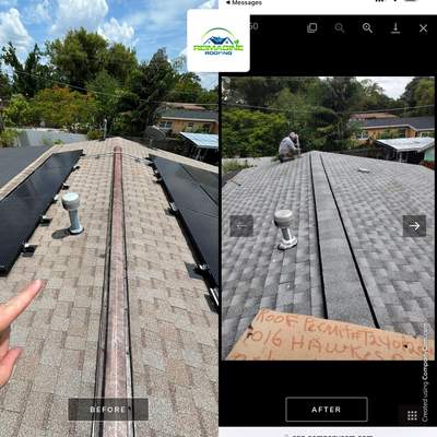Silver Birch Shingles