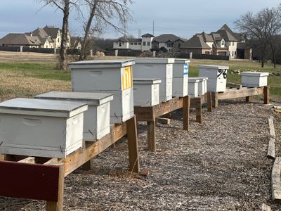 Ag. Exemption Client in Wylie