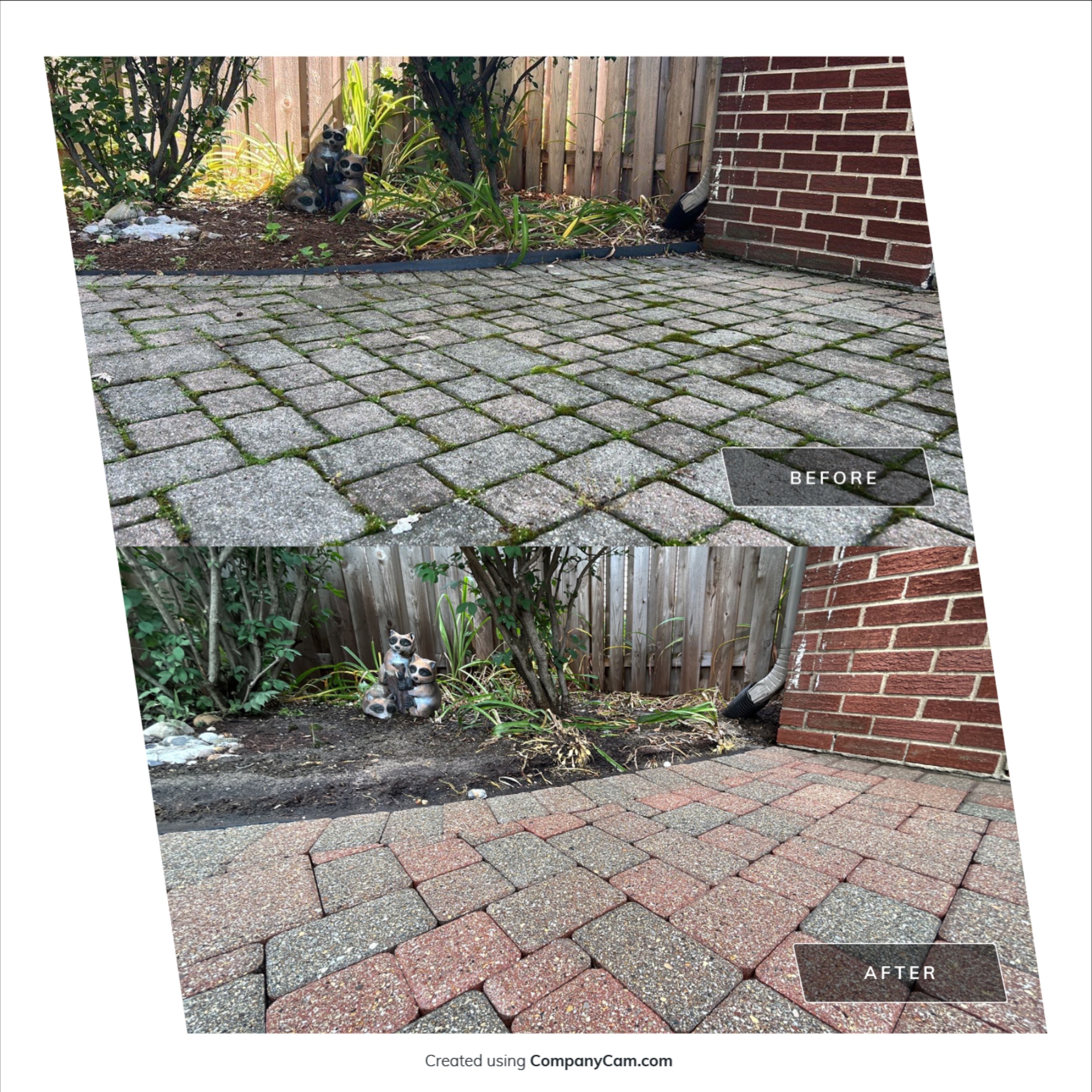 Brick paver clean, sand and seal. using Algaecide, soft wash soap by Northern Power Washing LLC.