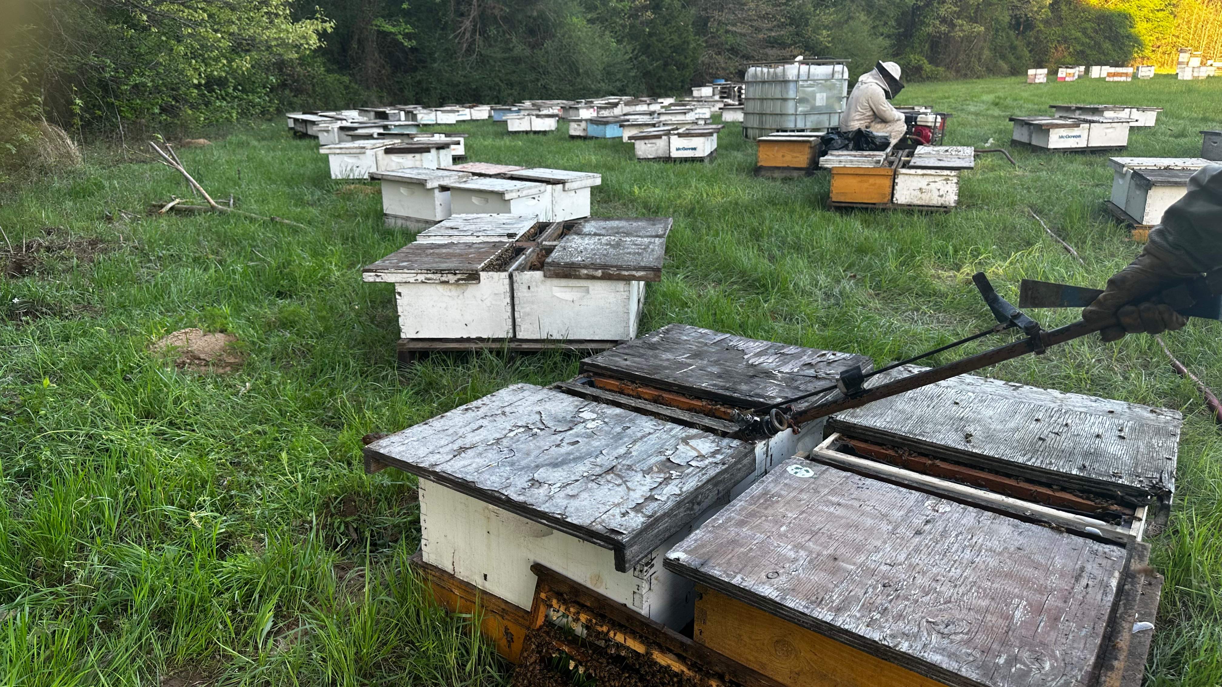 Traylor's Hay Meadow Apiary by Rockwall Honey Bee Company
