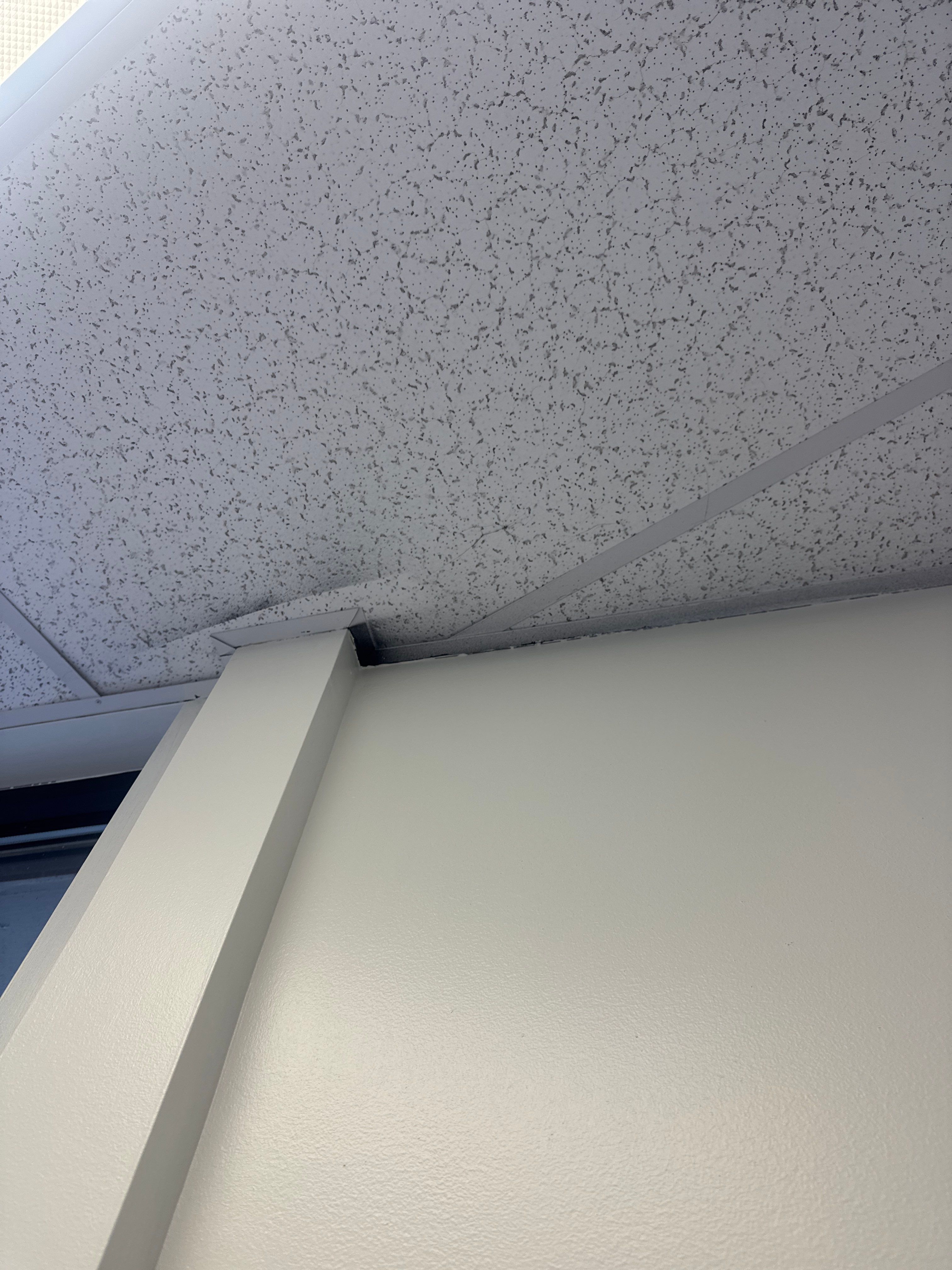 Repaint Walls in Commercial Unit by Midwest Paint LLC