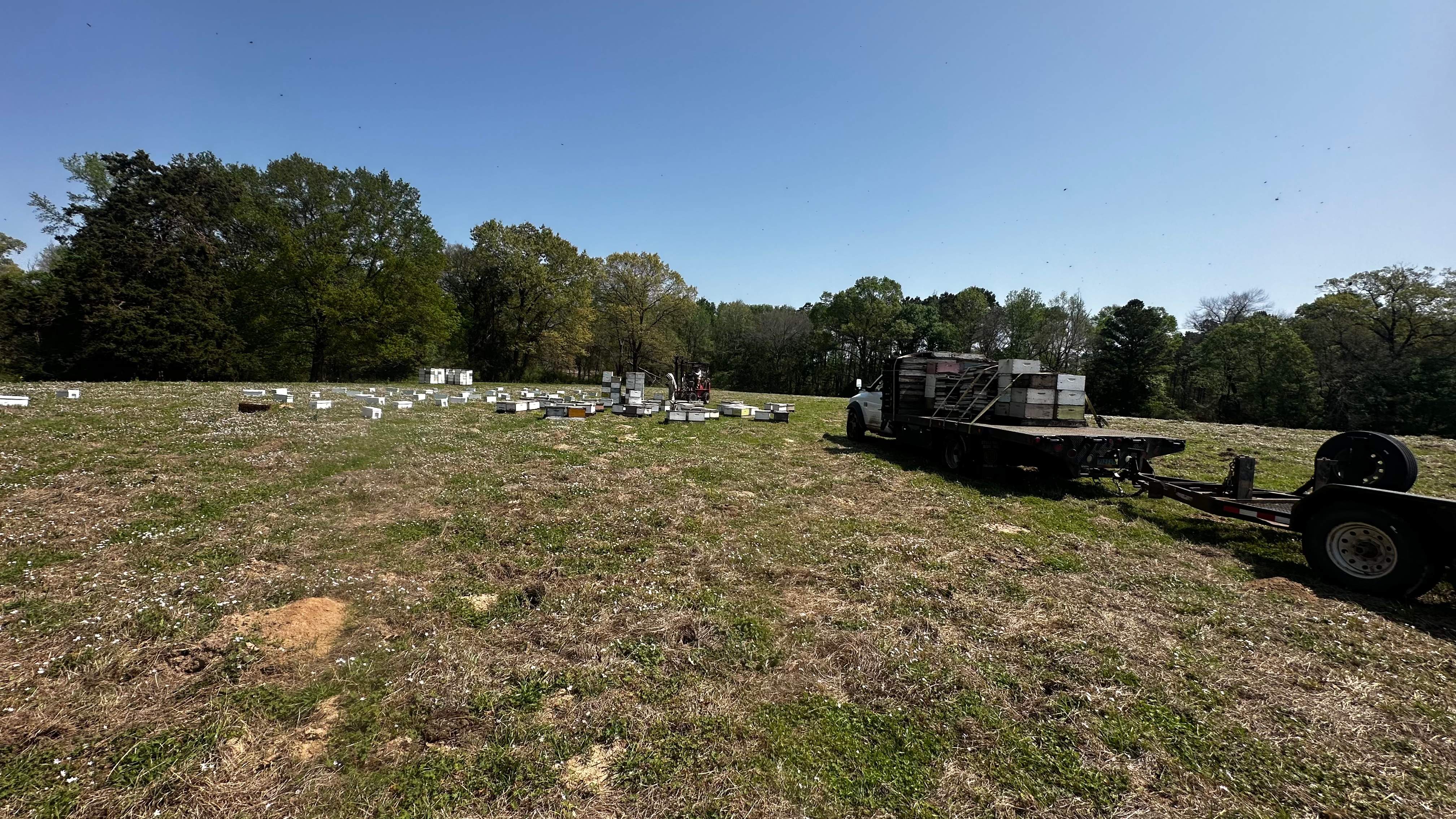 Traylor's Hay Meadow Apiary by Rockwall Honey Bee Company