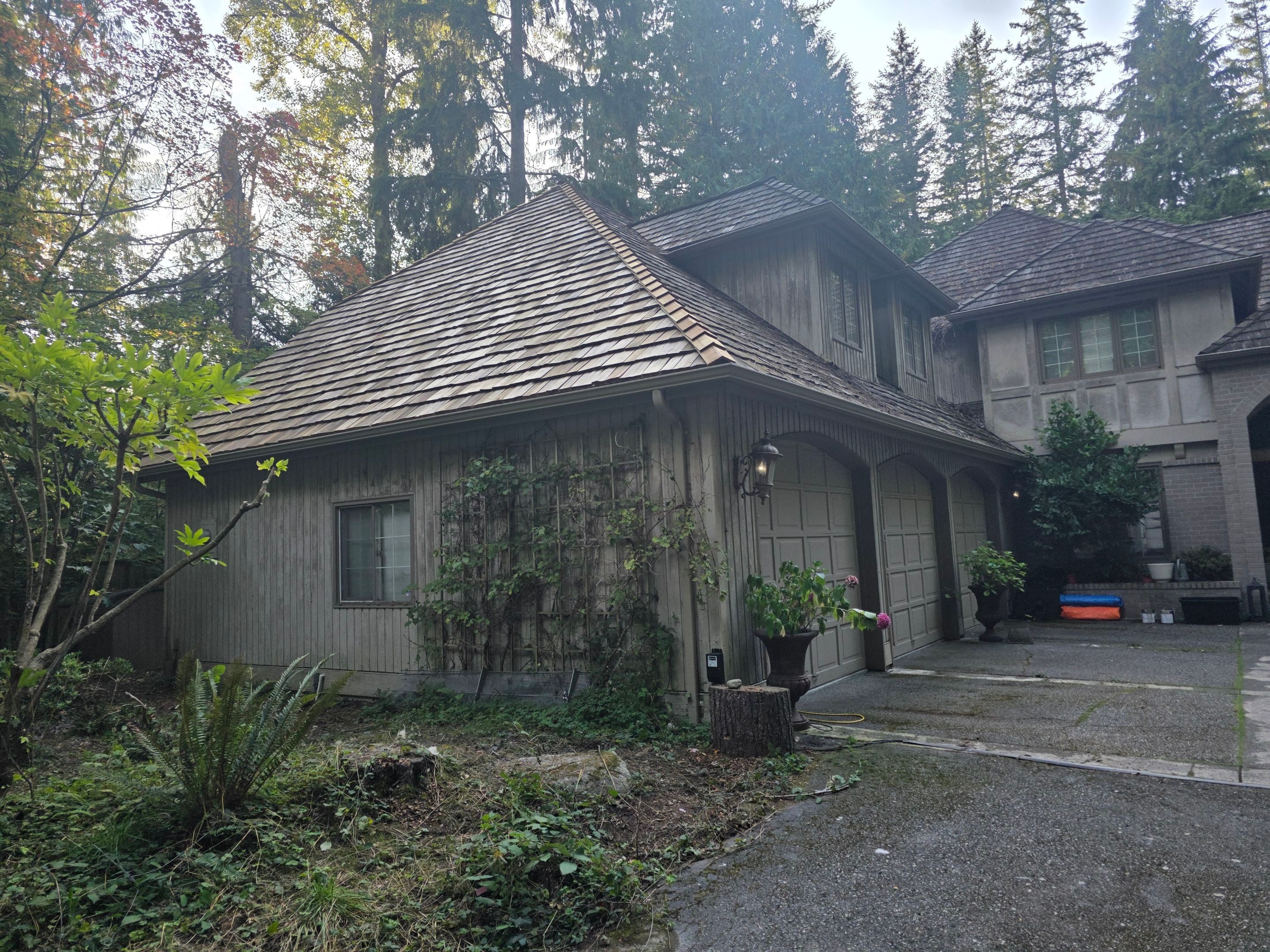 Tree Strike Repair - Issaquah by RoofSmart