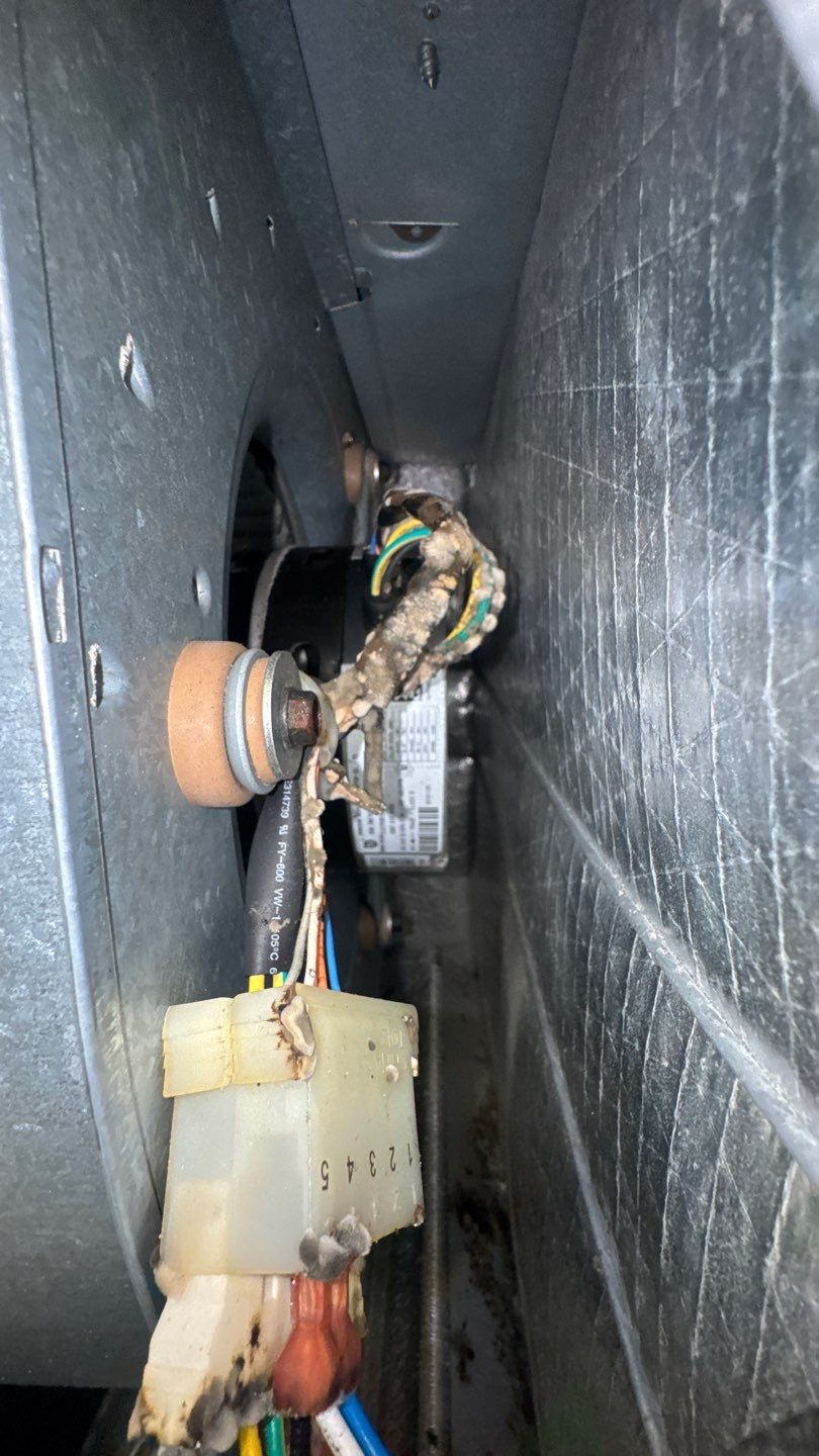 Air Duct Cleaning in Groveland by Hygienic Air, Inc