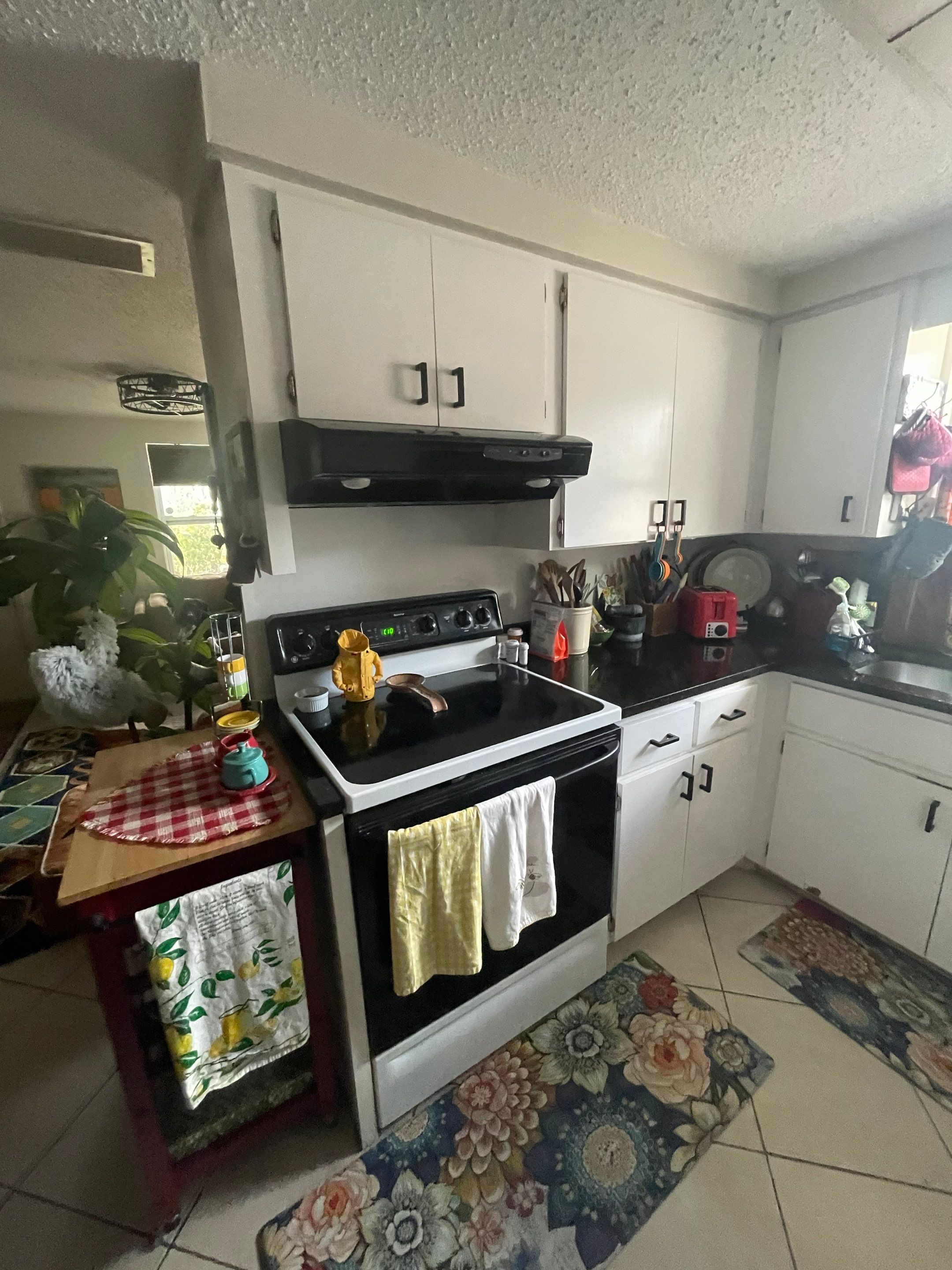Project in Sarasota by Sarasota Kitchen Company