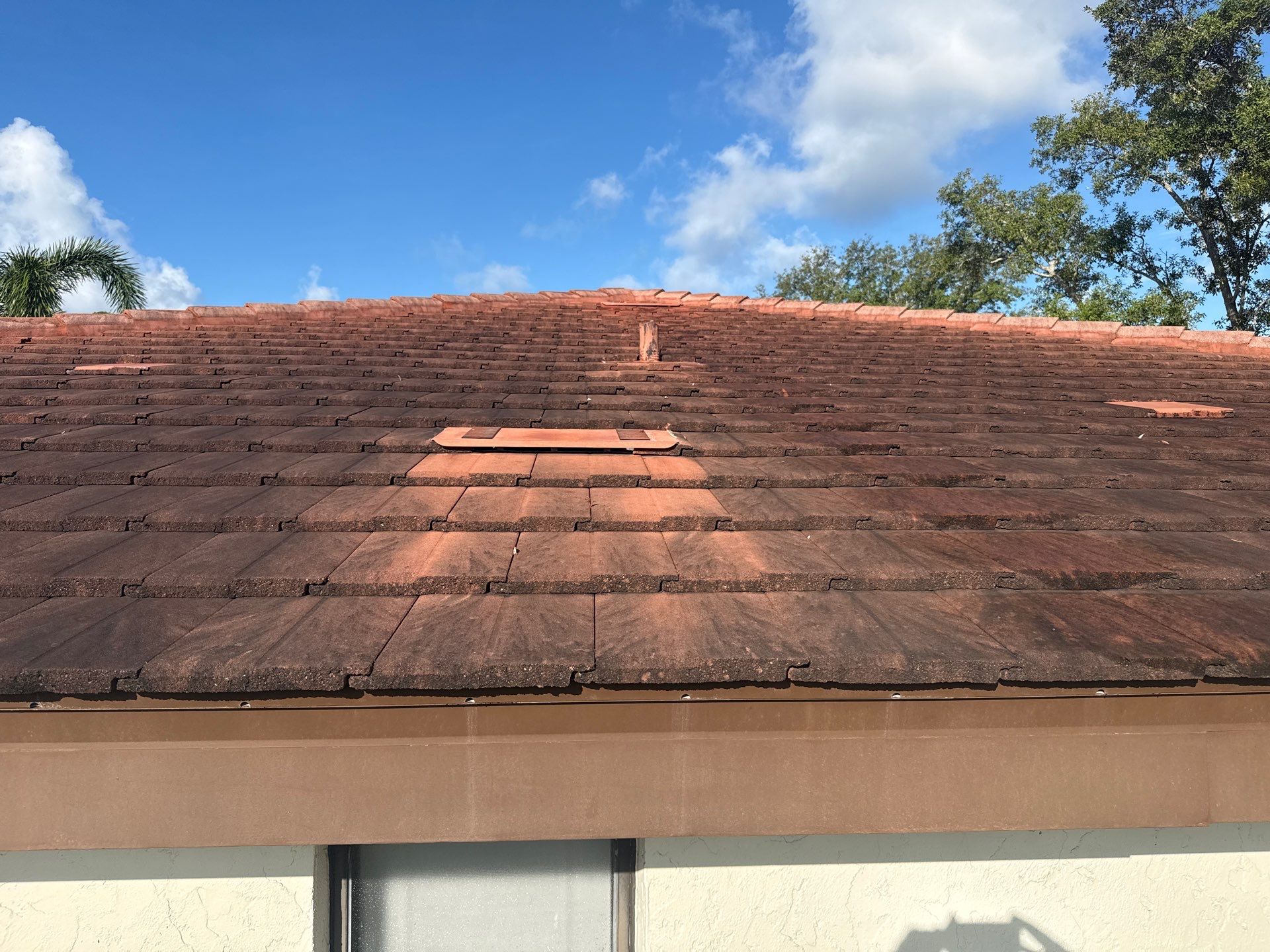 Tile Roof, Driveway & Patio Cleaning – Vivienda at Bradenton I by Sunshine AquaWash