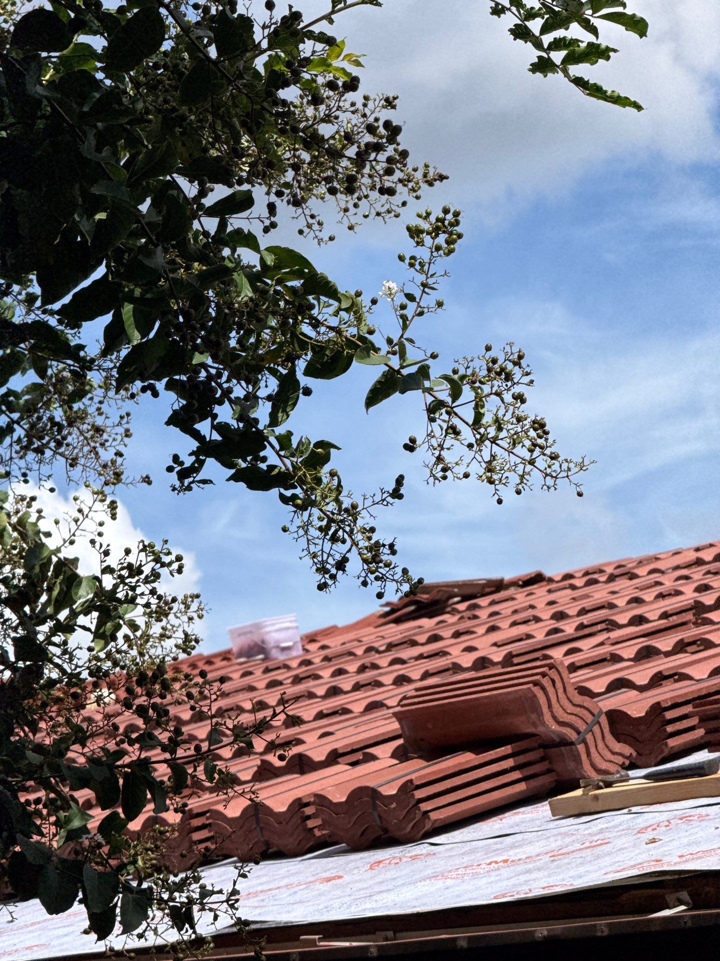 Residential Tile Roof Replacement and Gutter Installation in Winter Park by Pinnacle Roofing Group