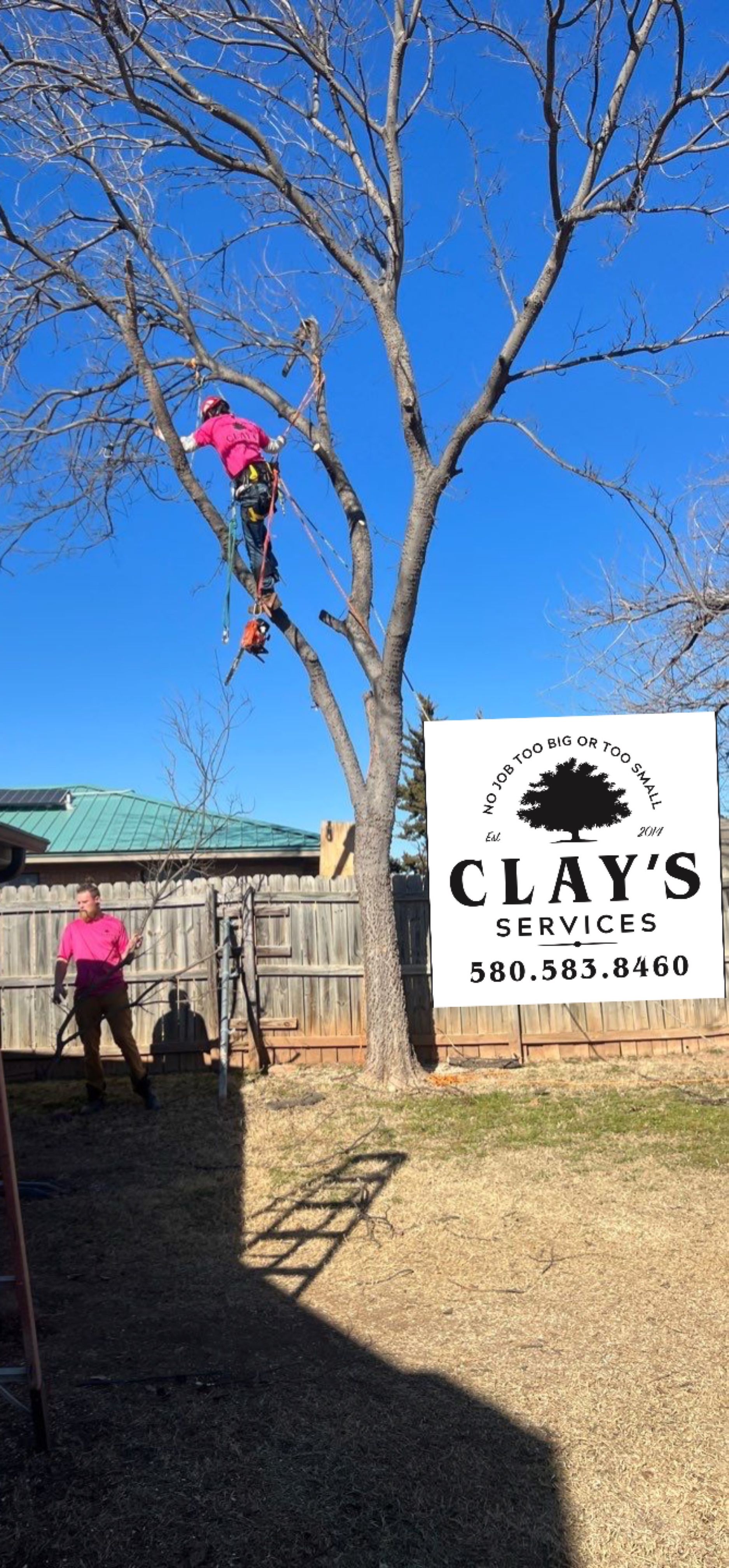 Fence , Concrete Pads , and Tree Removal by Clays Services Inc