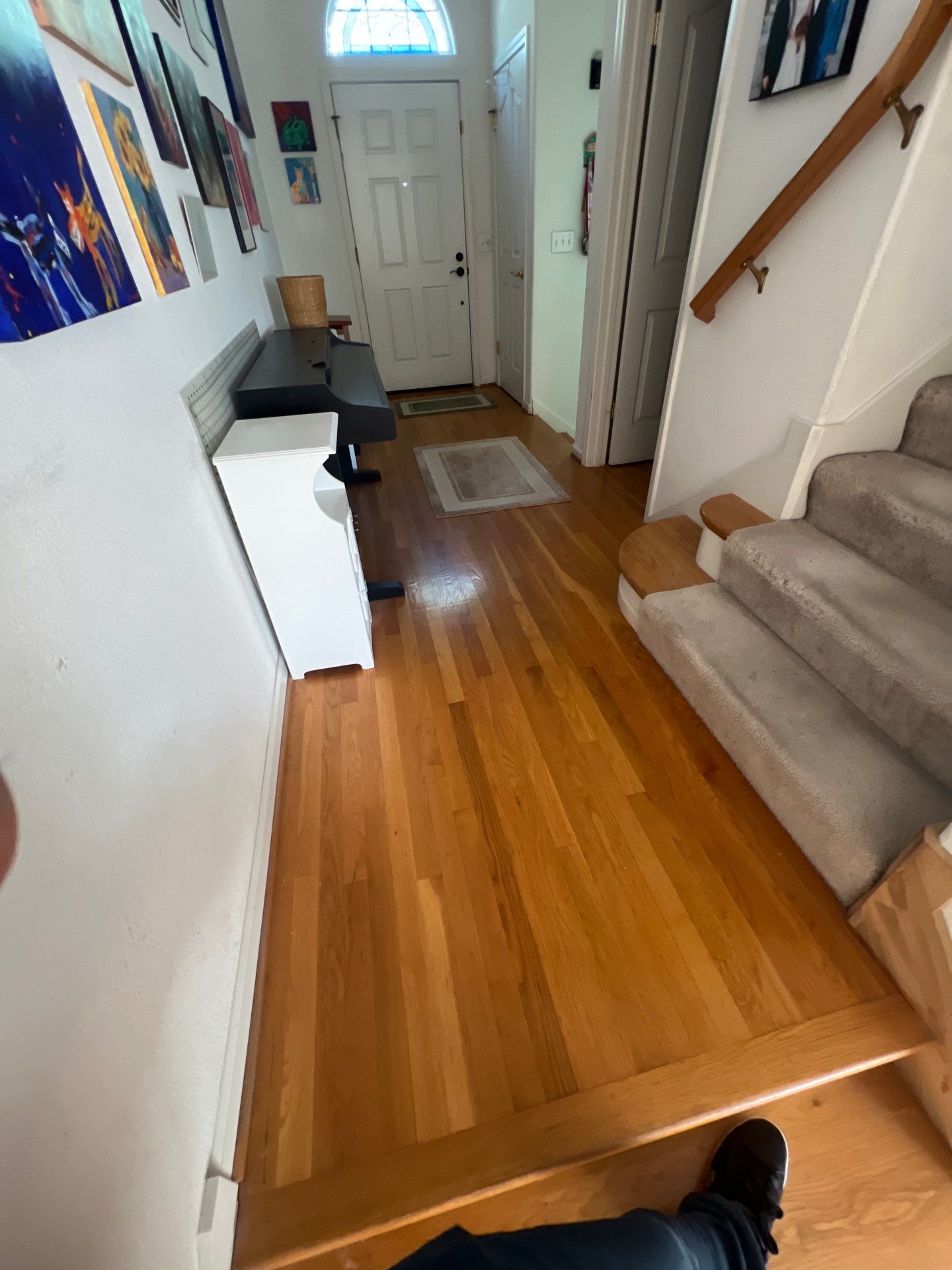 Project Showcase  by Elephant Floors Inc