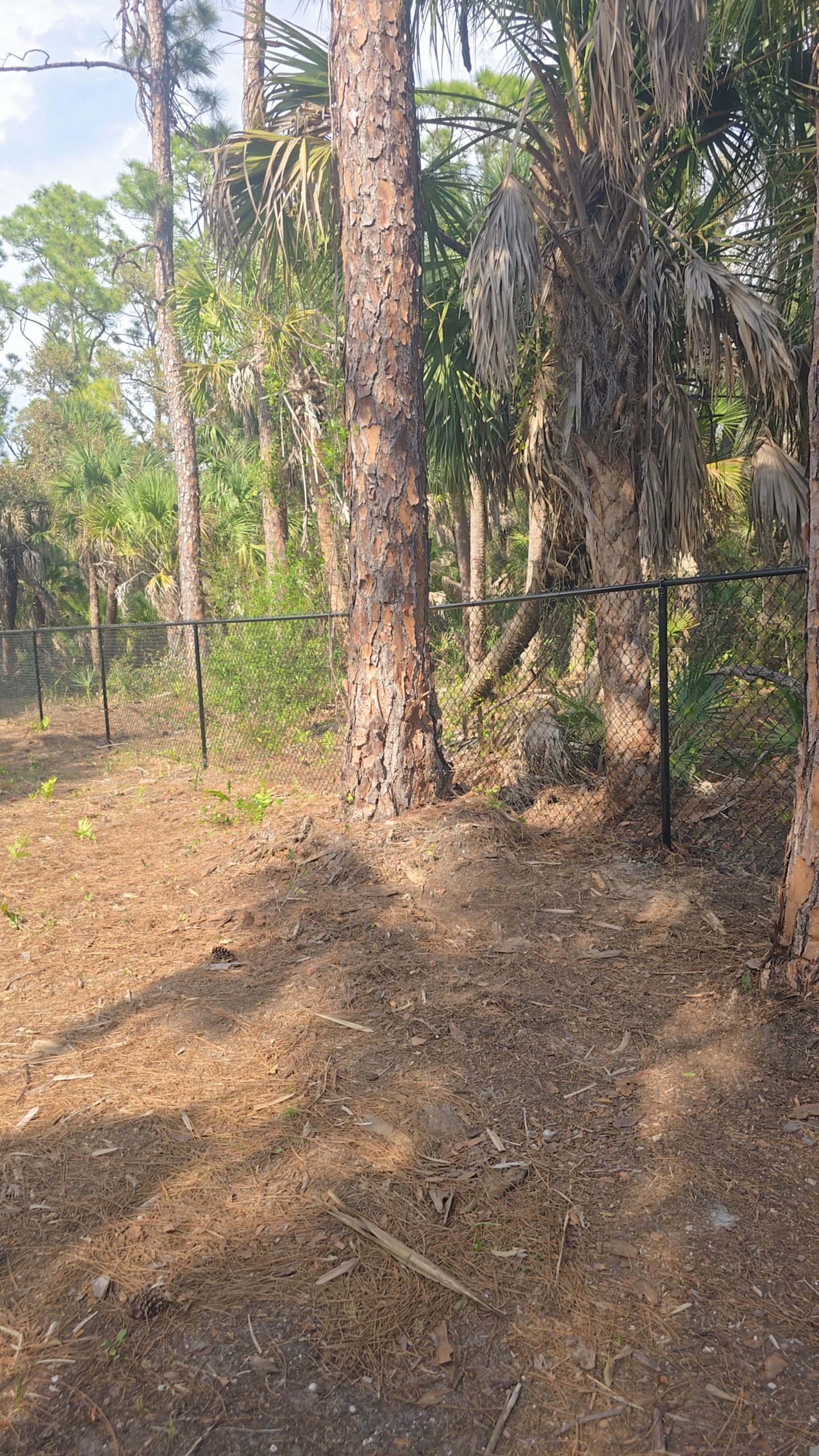 Chain Link Install in North Port by True Fence LLC