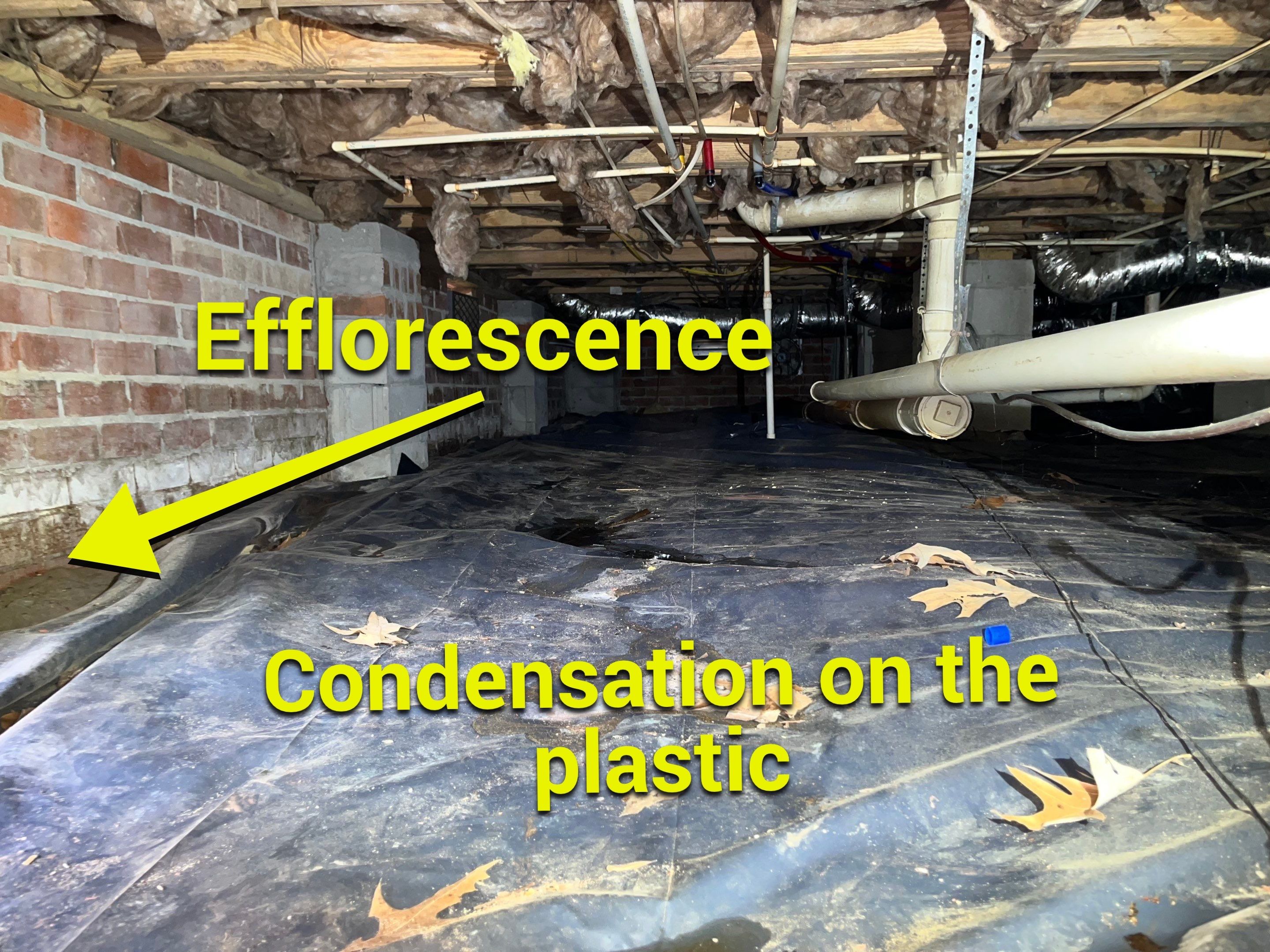 Impact Choice Encapsulation using Tri-Plex Insulation by Impact Crawlspace