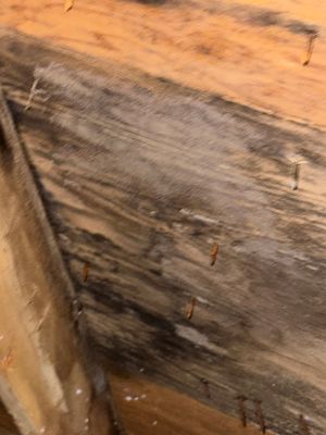 Project in Osceola