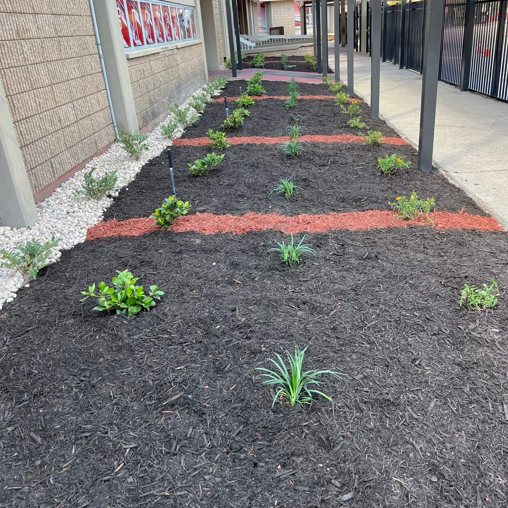 Landscape Install | Wilkinson JHS by ProGreen Services